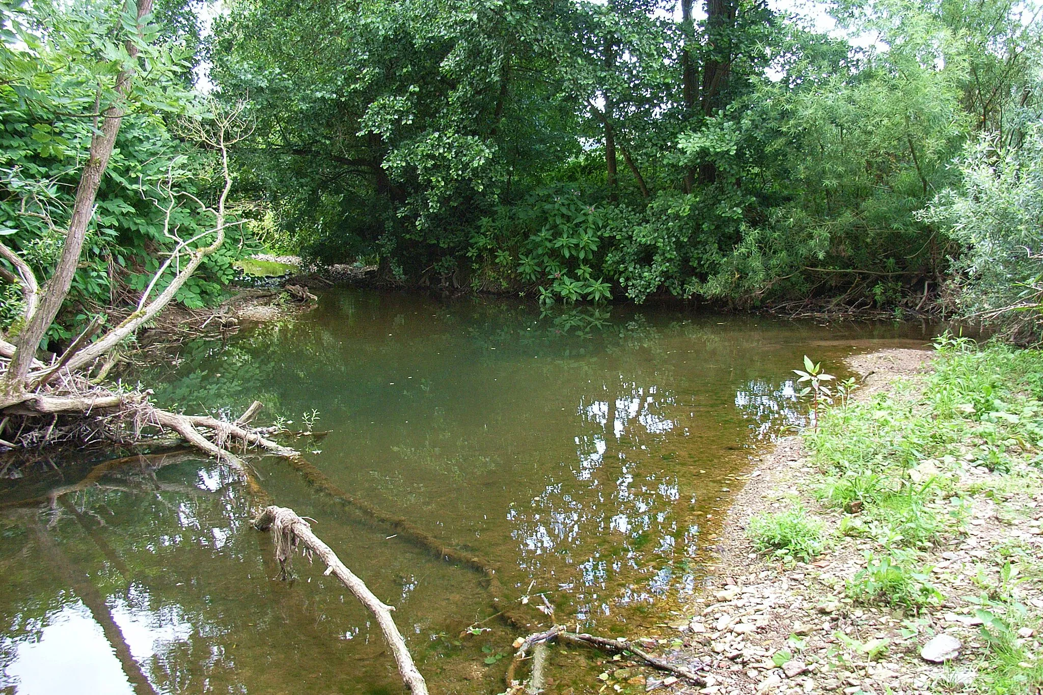 Photo showing: Blick stromaufwärts. Der Hilgenbach mündet im Bild von links kommend in die Aa. Es bildet sich am Zusammenfluss ein Kolk. Hier hielten sich am Aufnahmetag Enten und ein Fischreiher auf.