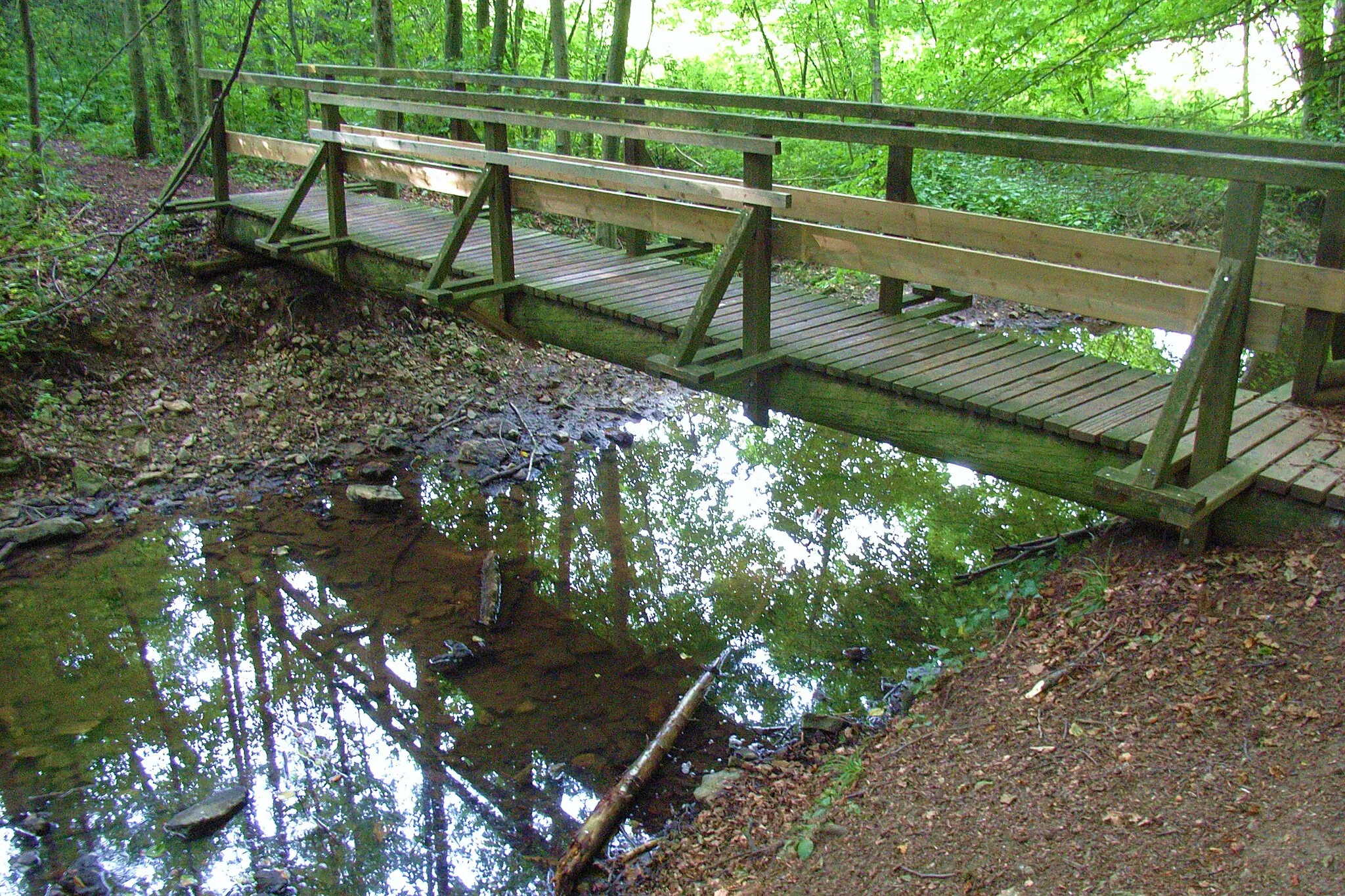 Photo showing: Holzbrücke über die Aa in Reelsen