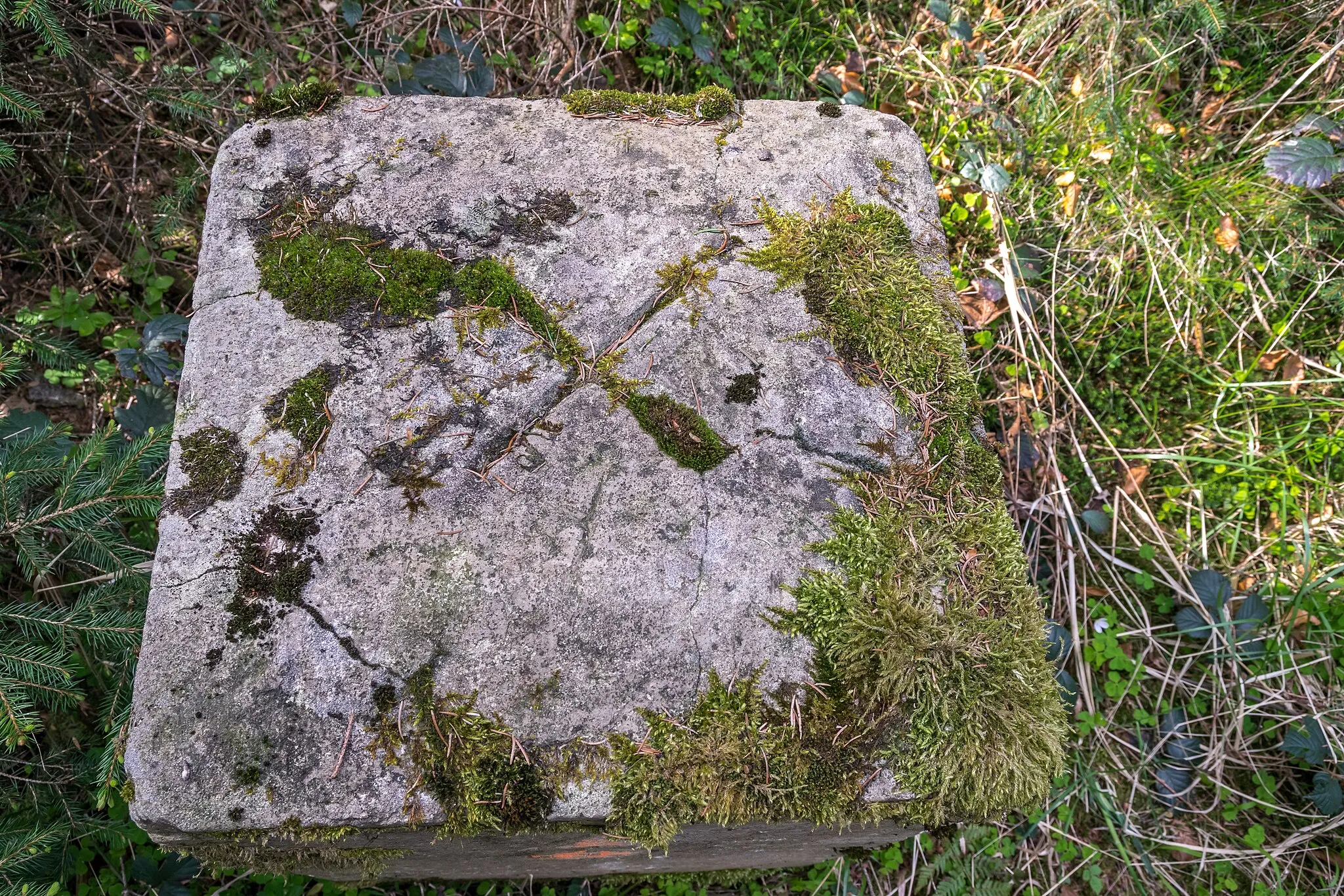 Photo showing: Trigonometrischer Punkt an der Hausheide westlich von Bad Driburg