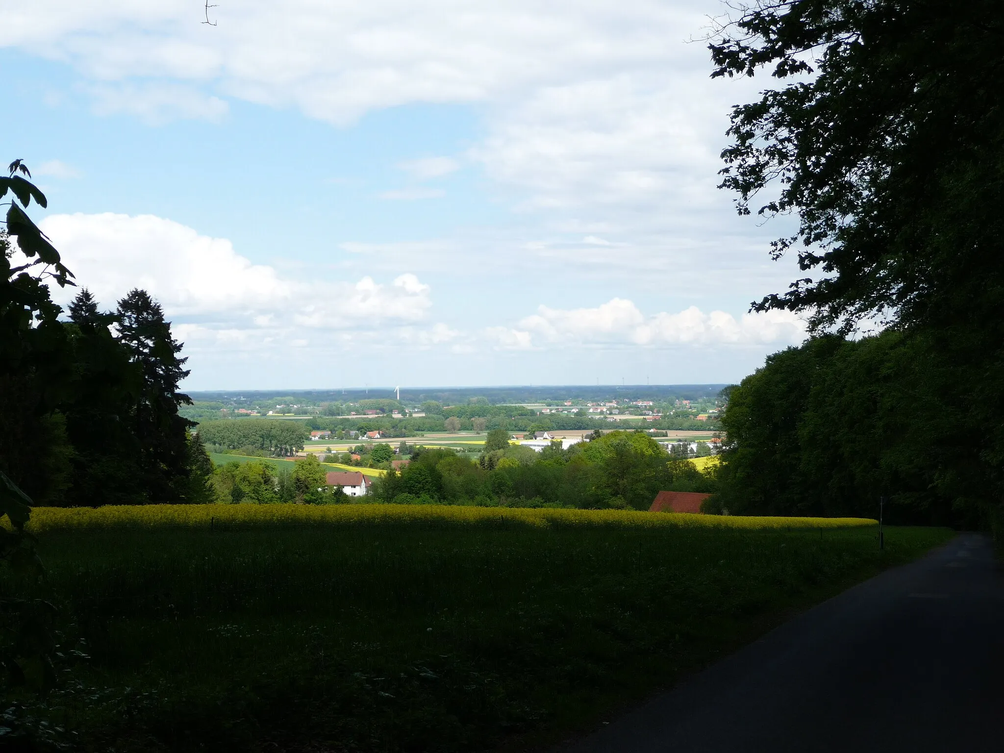 Photo showing: In der Nähe vom Forsthaus Limberg erhebt sich der Limberg / Offelter Berg in landschaftlich sehr reizvoller Umgebung.