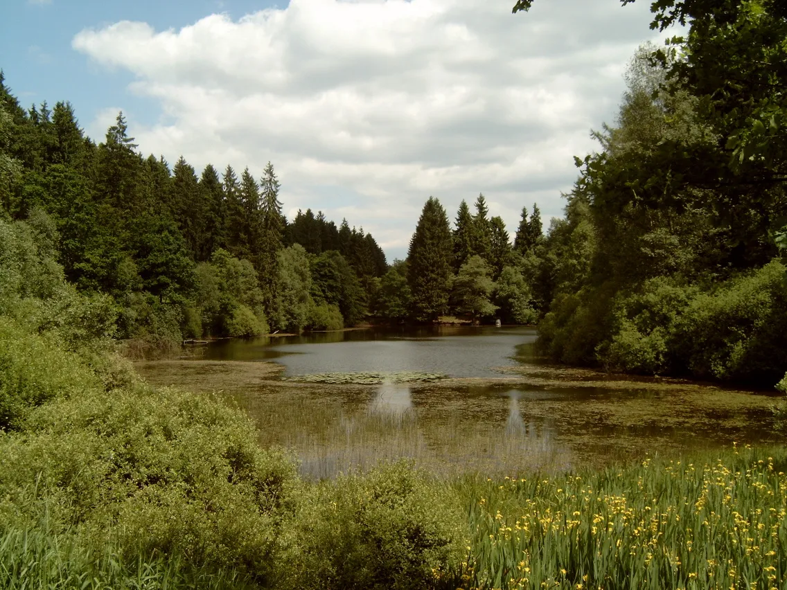 Photo showing: pond "Neuer Teich" in the forrest "Solling"