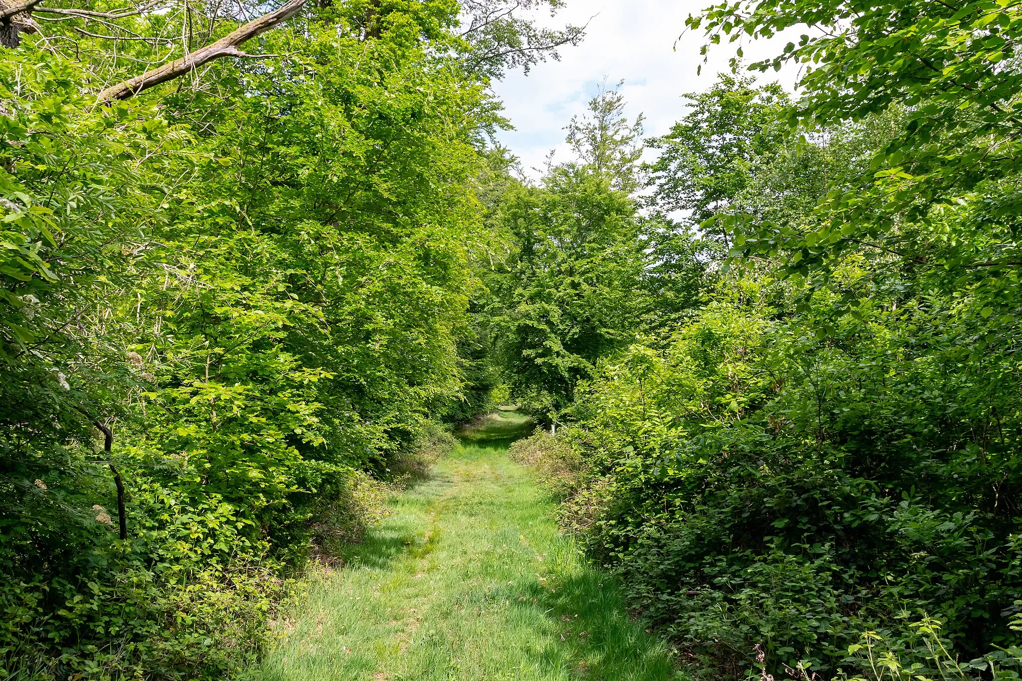 Photo showing: Landschaftsschutzgebiet Talbereich am Sperlberg in Lügde-Rischenau, Kreis Lippe