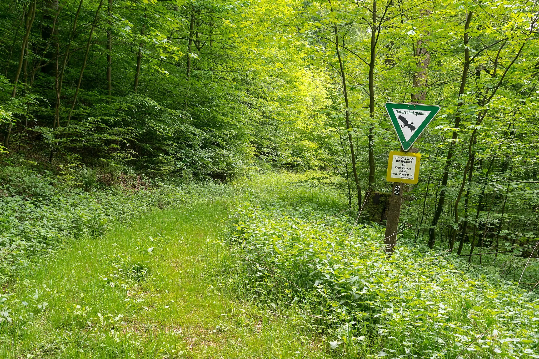 Photo showing: Naturschutzgebiet Egge-Nord, Altenbeken, Kreis Paderborn