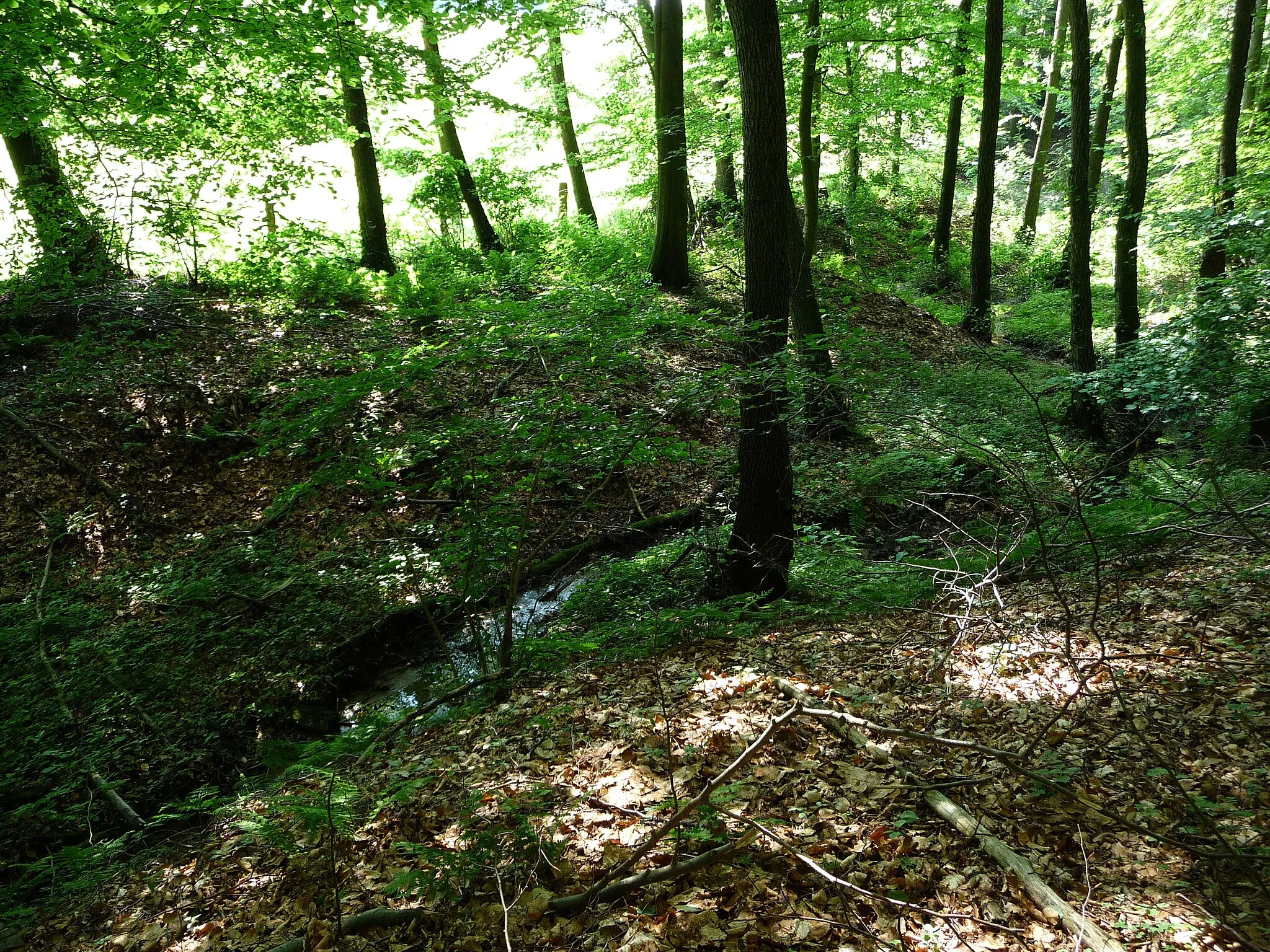 Photo showing: Der Uhlenbach in Placking Wellingholzhausen Melle ist ein kleiner Bach mit drei Ausläufern. Anliegend der Vogelweiher und zwei namenlose Teiche. Hier Bilder von der periodisch fließenden Quelle.