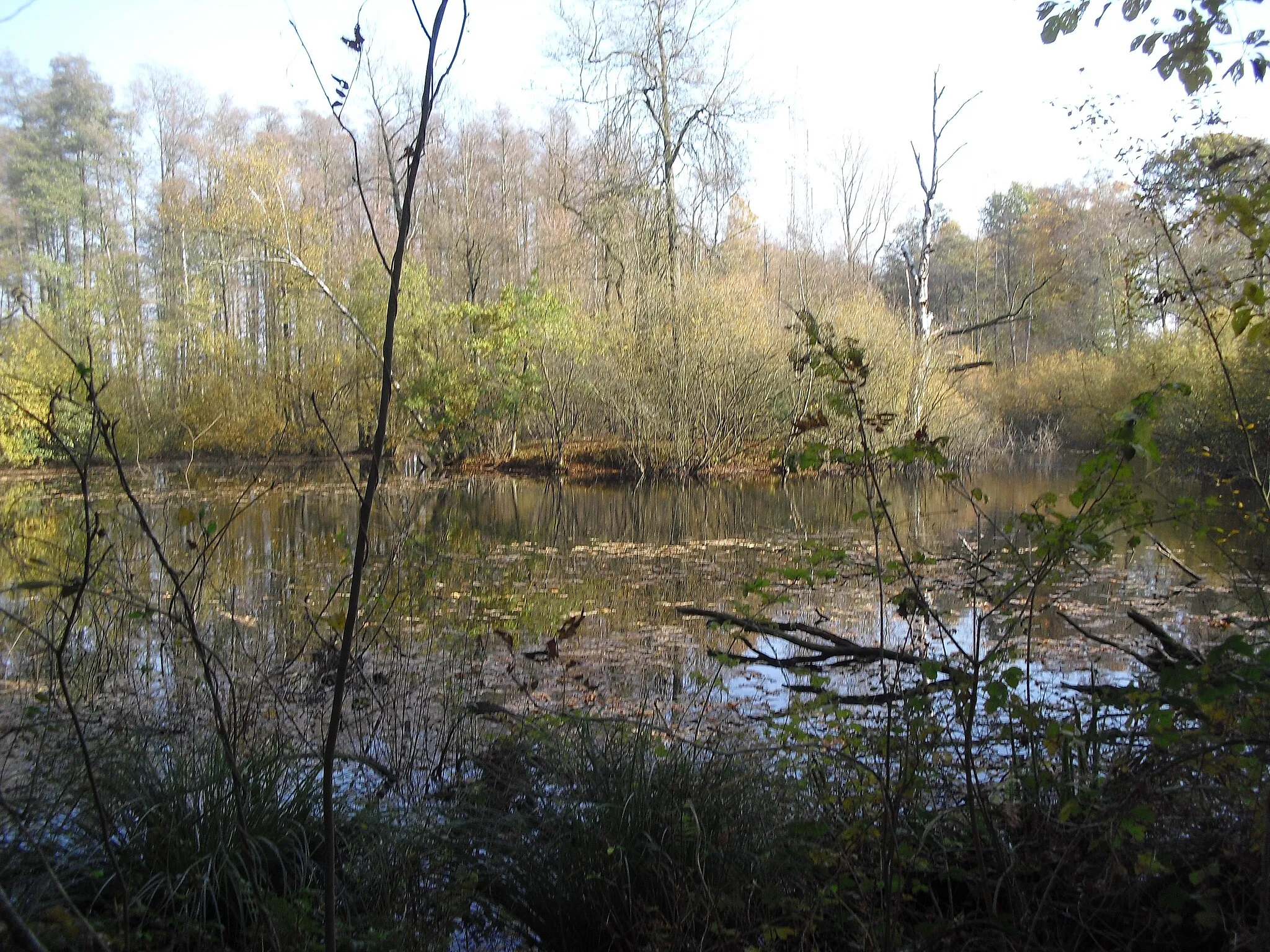 Photo showing: Heideweiher Apels Teich in Klausheide