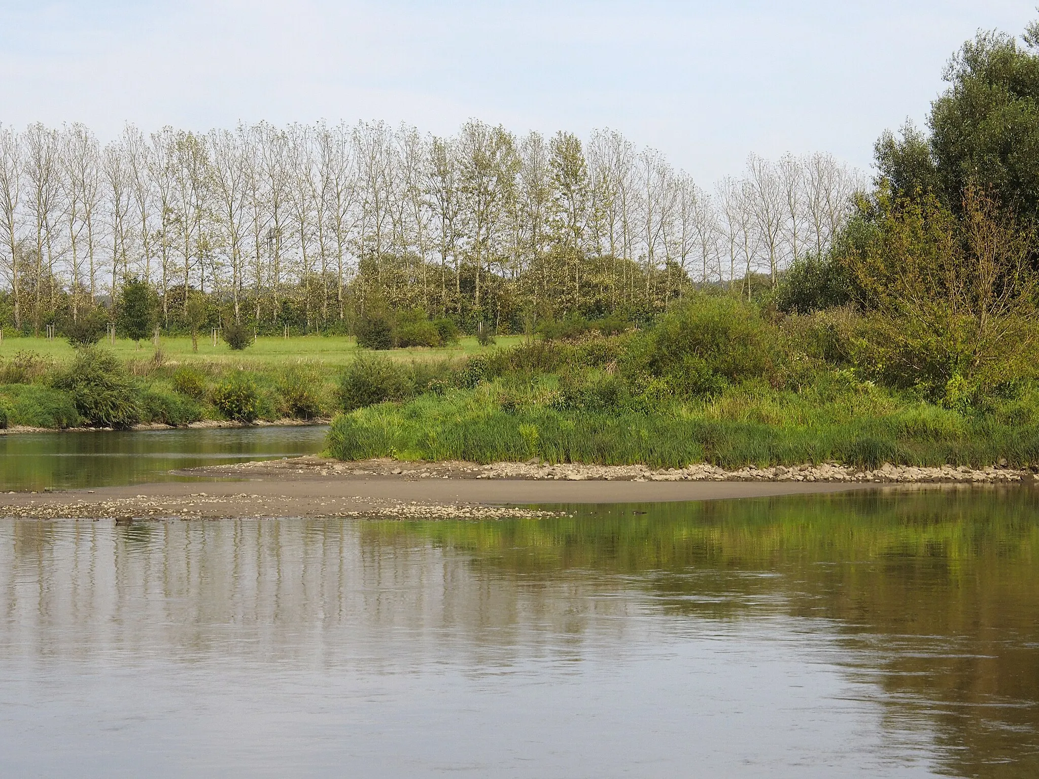 Photo showing: Gauernitzer Elbinsel - Ende Richtung Meißen