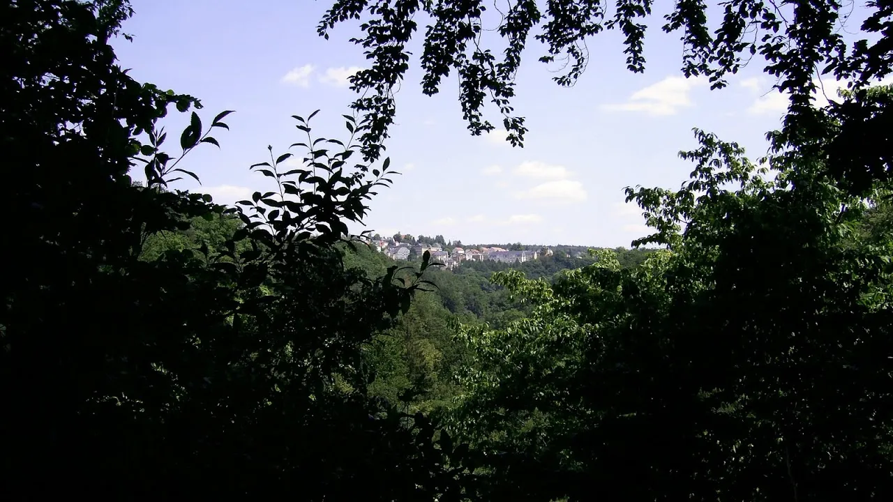 Photo showing: 2008 Rabenauer Grund Blick von der weißen Bank