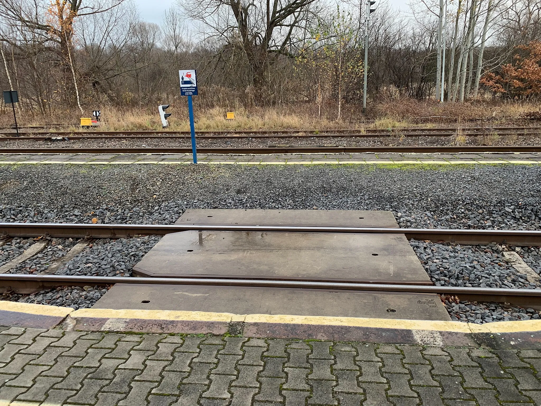 Photo showing: Krzewina Zgorzelecka-Ostritz railway station on the Polish-German border