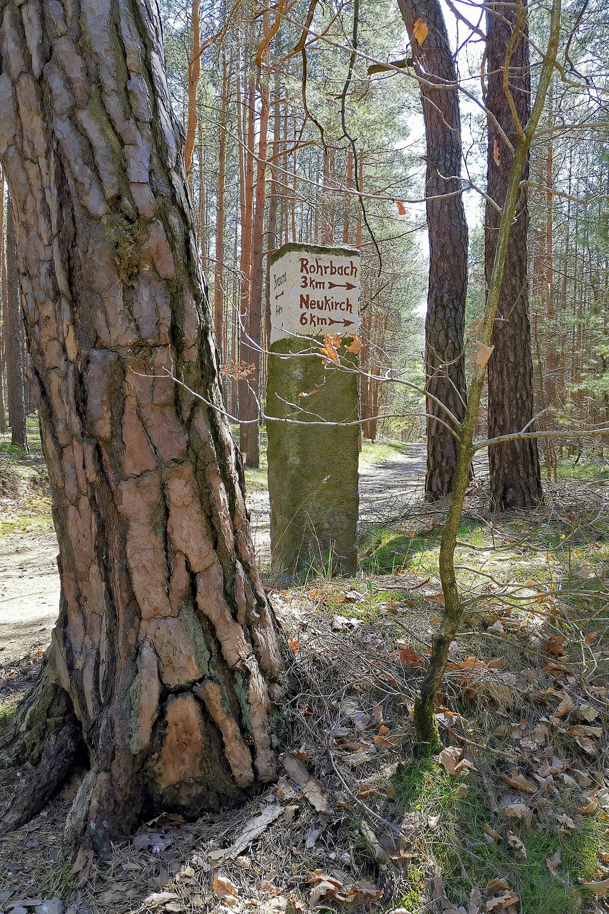 Photo showing: Schönbach (Kamenz, Saxony, Germany)