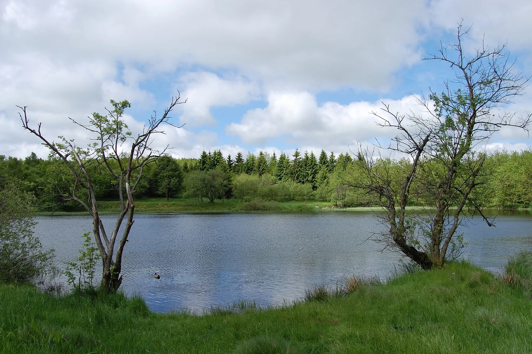Photo showing: Upper Pond near Krásný Les in Ore Mountains