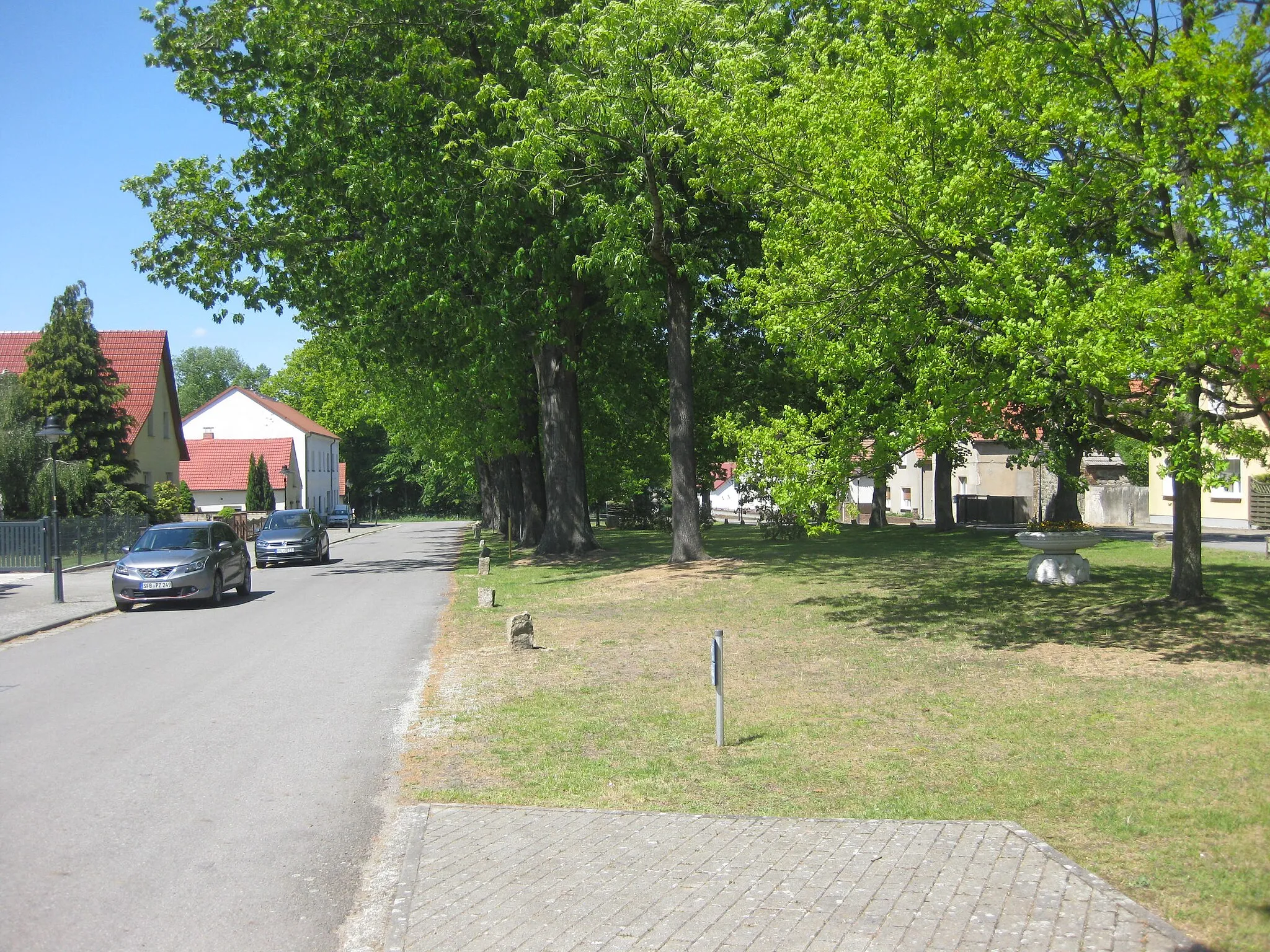 Photo showing: Hohenbocka, Dorfaue nordwestwärts bei Hausnr. 8, Spätfrühling