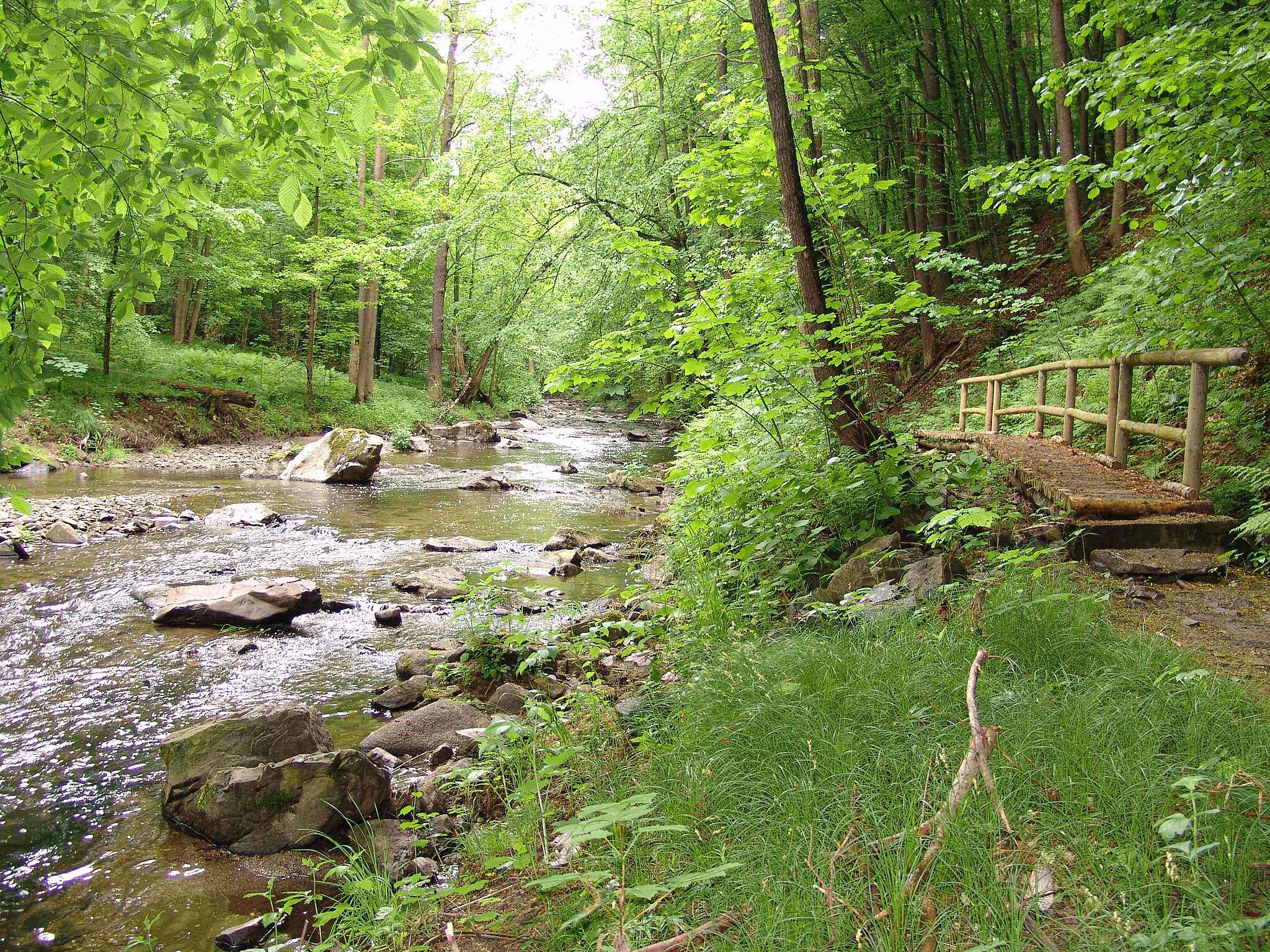 Photo showing: Löbauer Wasser in der Goergewitzer Skala