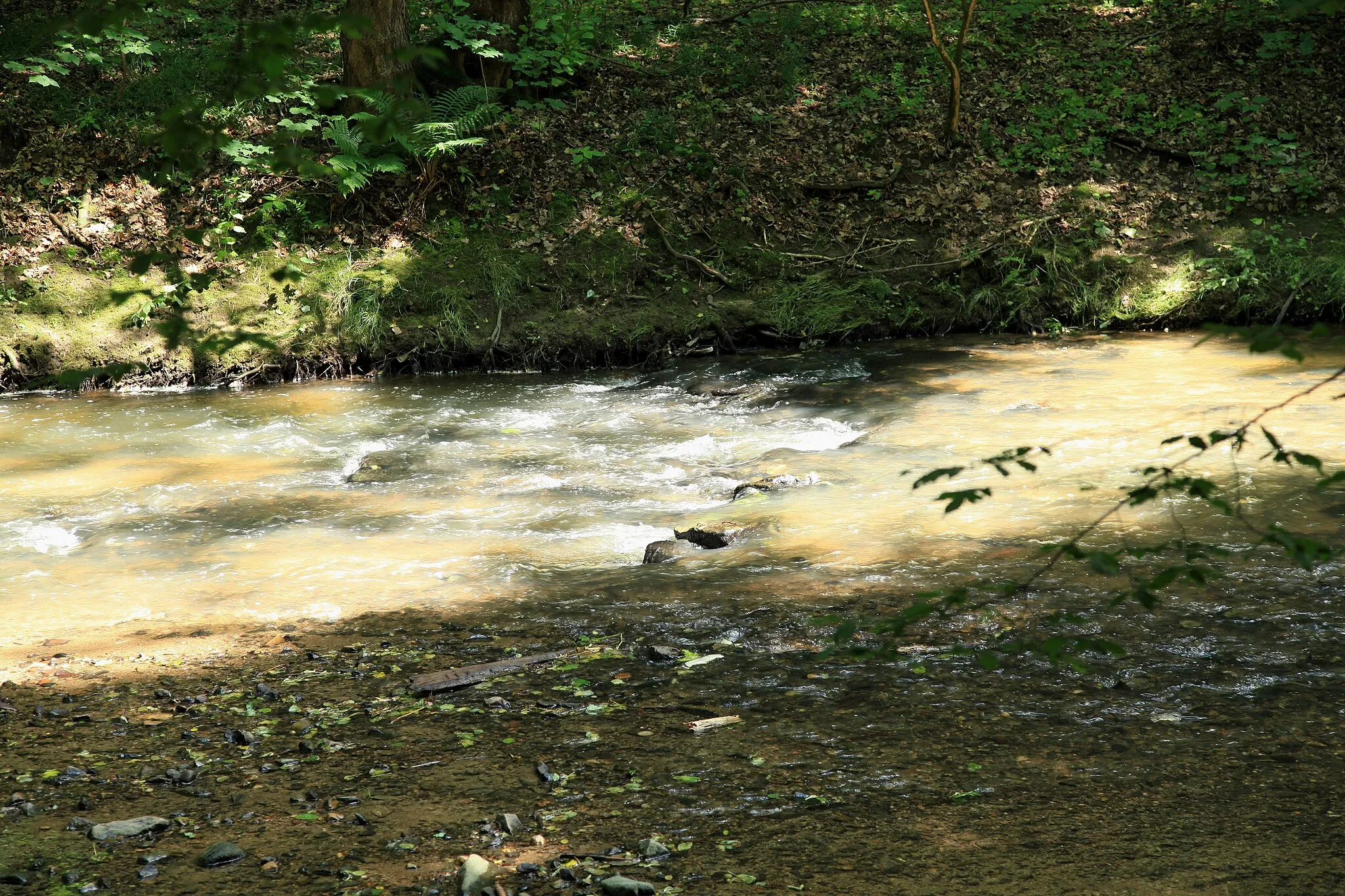 Photo showing: Löbauer Wasser in der Georgewitzer Skala in Löbau