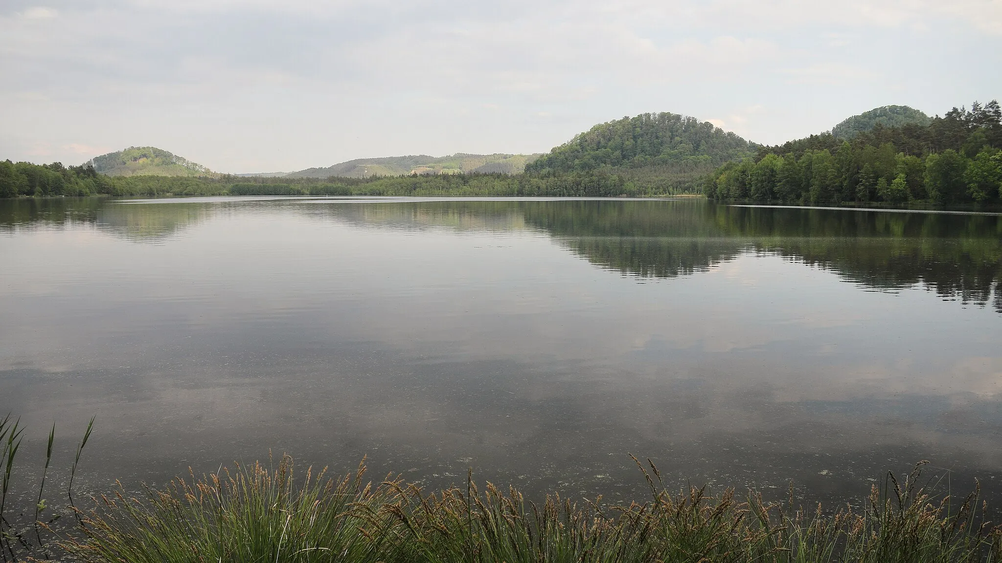 Photo showing: Hamerský rybník
Vlevo Chrástenský vrch, uprostřed Ocasovský vrch, vpravo Děvín a Hamerský Špičák (Ostrý)