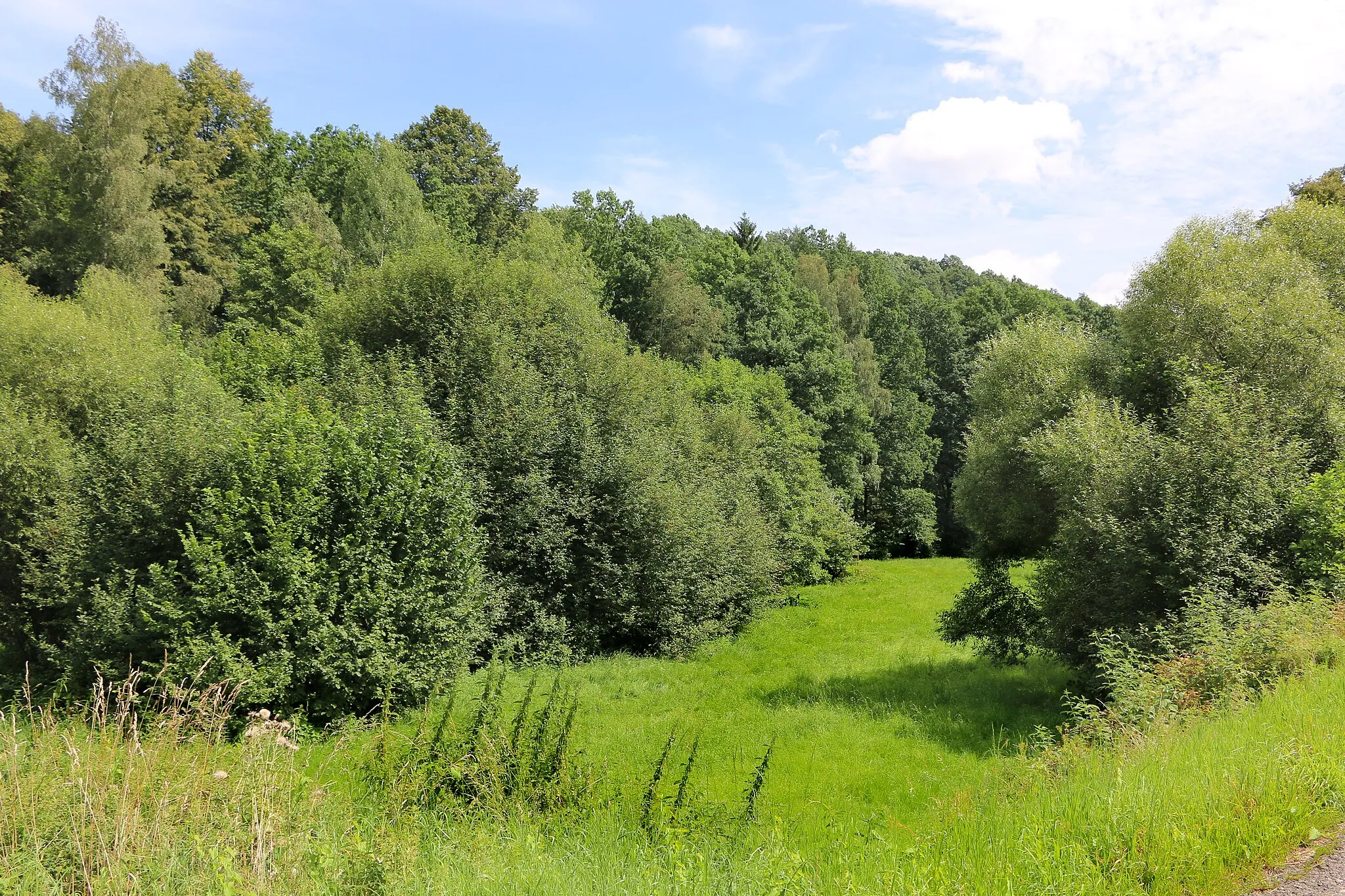 Photo showing: Lužická Nisa valley in Dolní Suchá, part of Hrádek nad Nisou, Czech Republic.