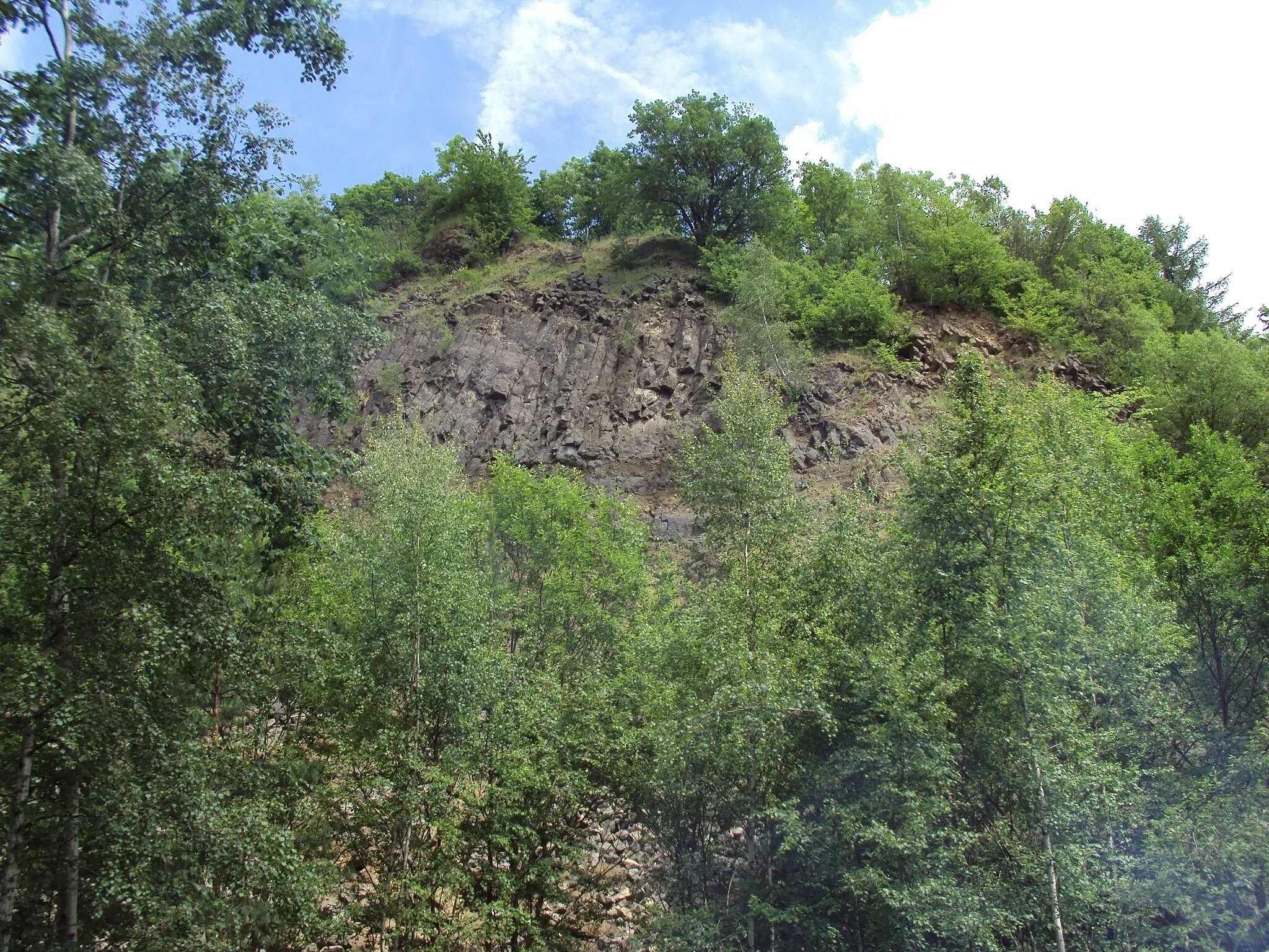 Photo showing: Zarostlý bývalý lom v Kamenickém kopci u Zákup