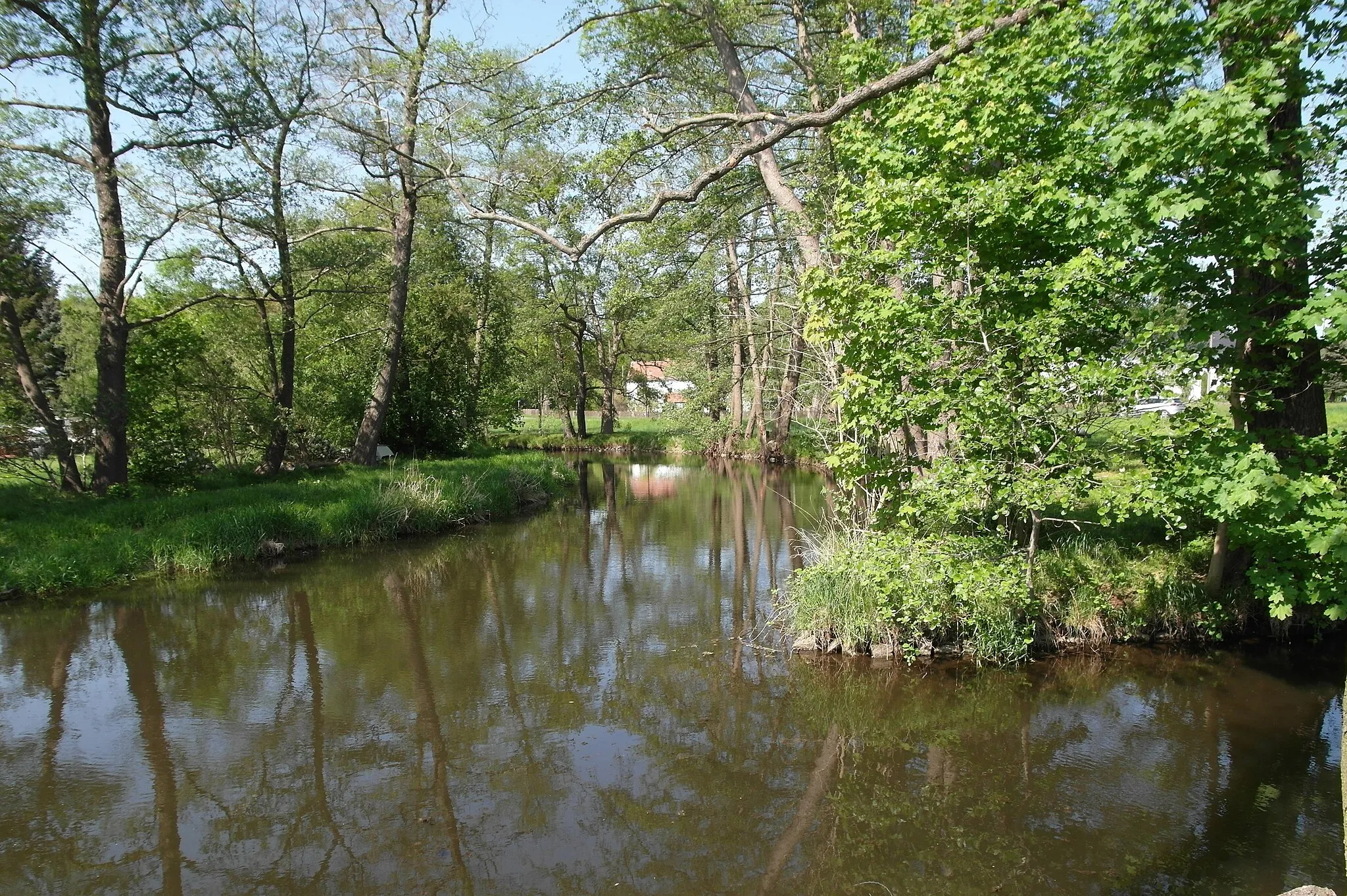 Photo showing: 04.05.2018   01458 Grünberg (Ottendorf-Okrilla): Große Röder vor dem Wehr an der Prof.-Nagel-Straße (GMP: 51.163761,13.843917). Hier beginnt der Wanderweg flußaufwärts ins Seifersdorfer Tal. Rechts mündet ein Kanal ein.                                                                                                                                                                                                                          [SAM5871.JPG]20180504400DR.JPG(c)Blobelt