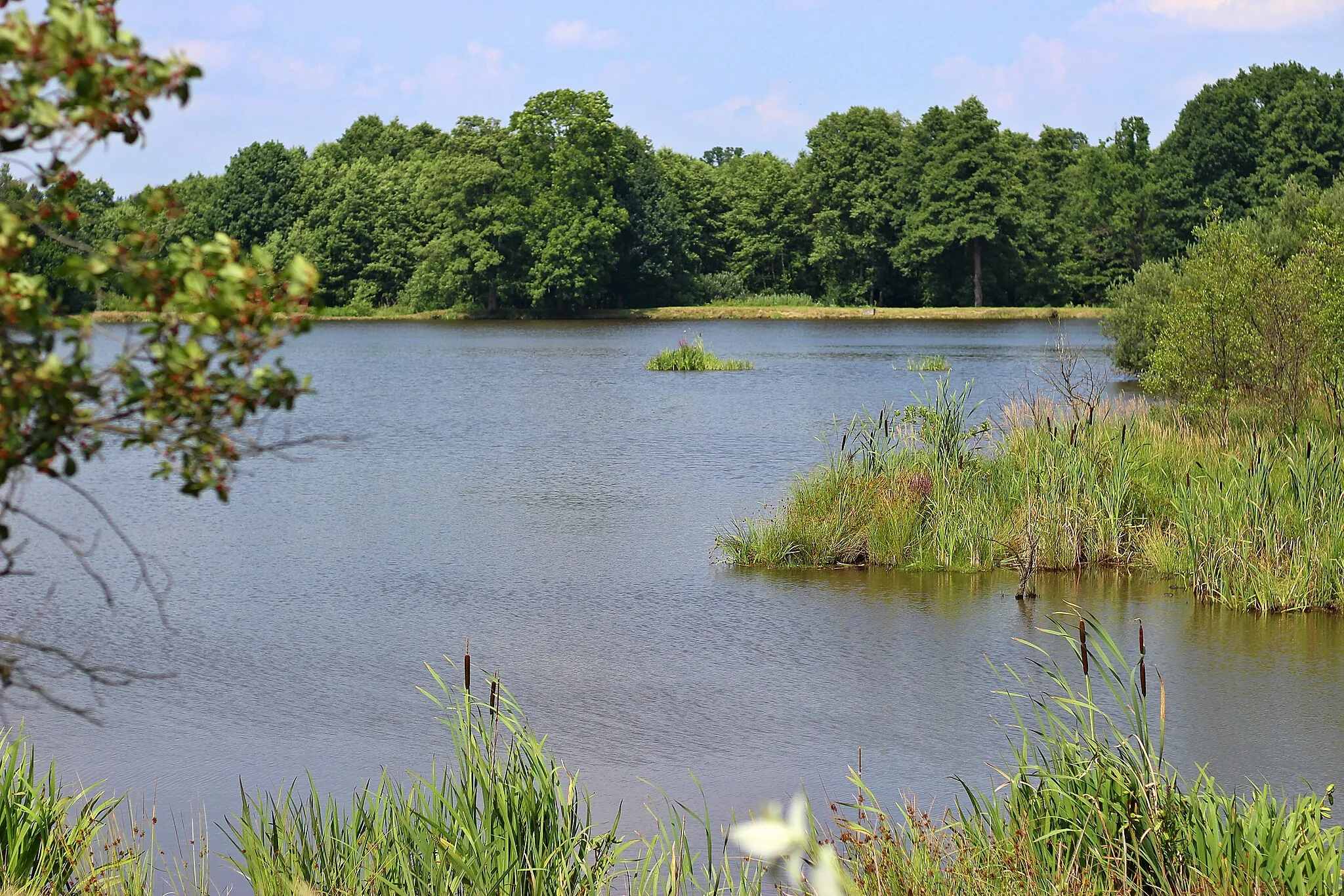 Photo showing: pohled na Luční rybník v letním období