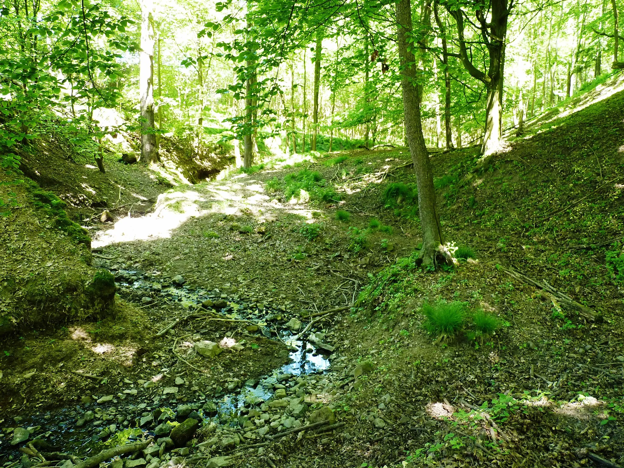 Photo showing: Přírodní rezervace Maiberg.