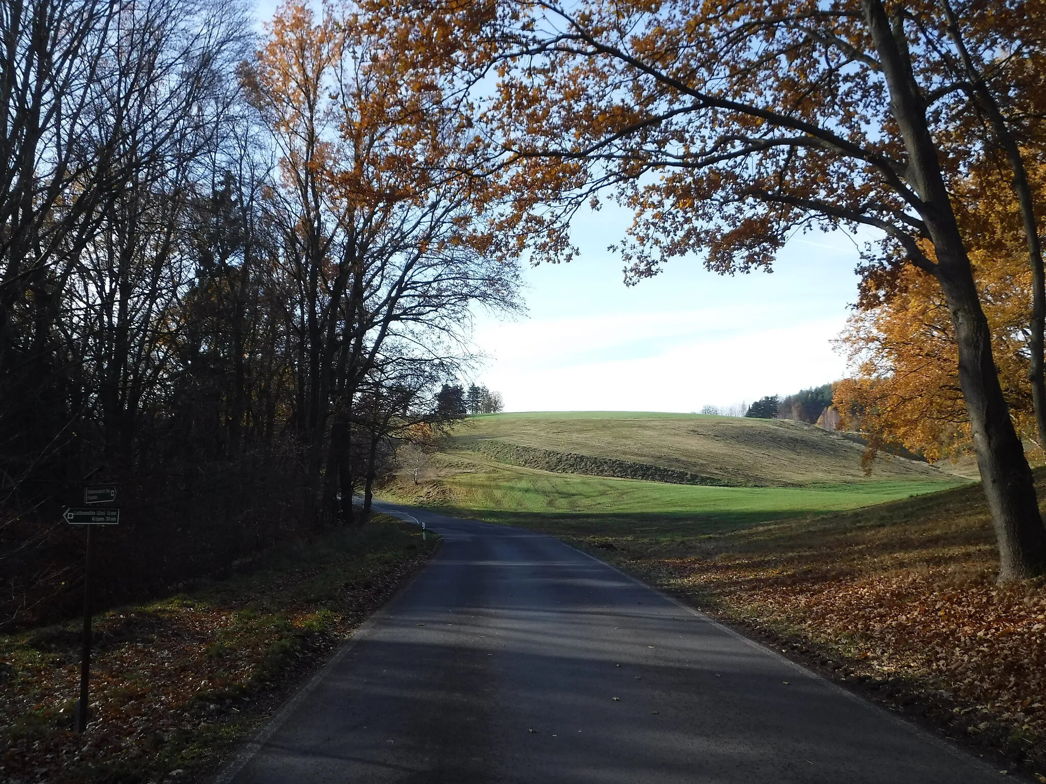 Photo showing: Die Kreisstraße K8744 in Kleinhennersdorf