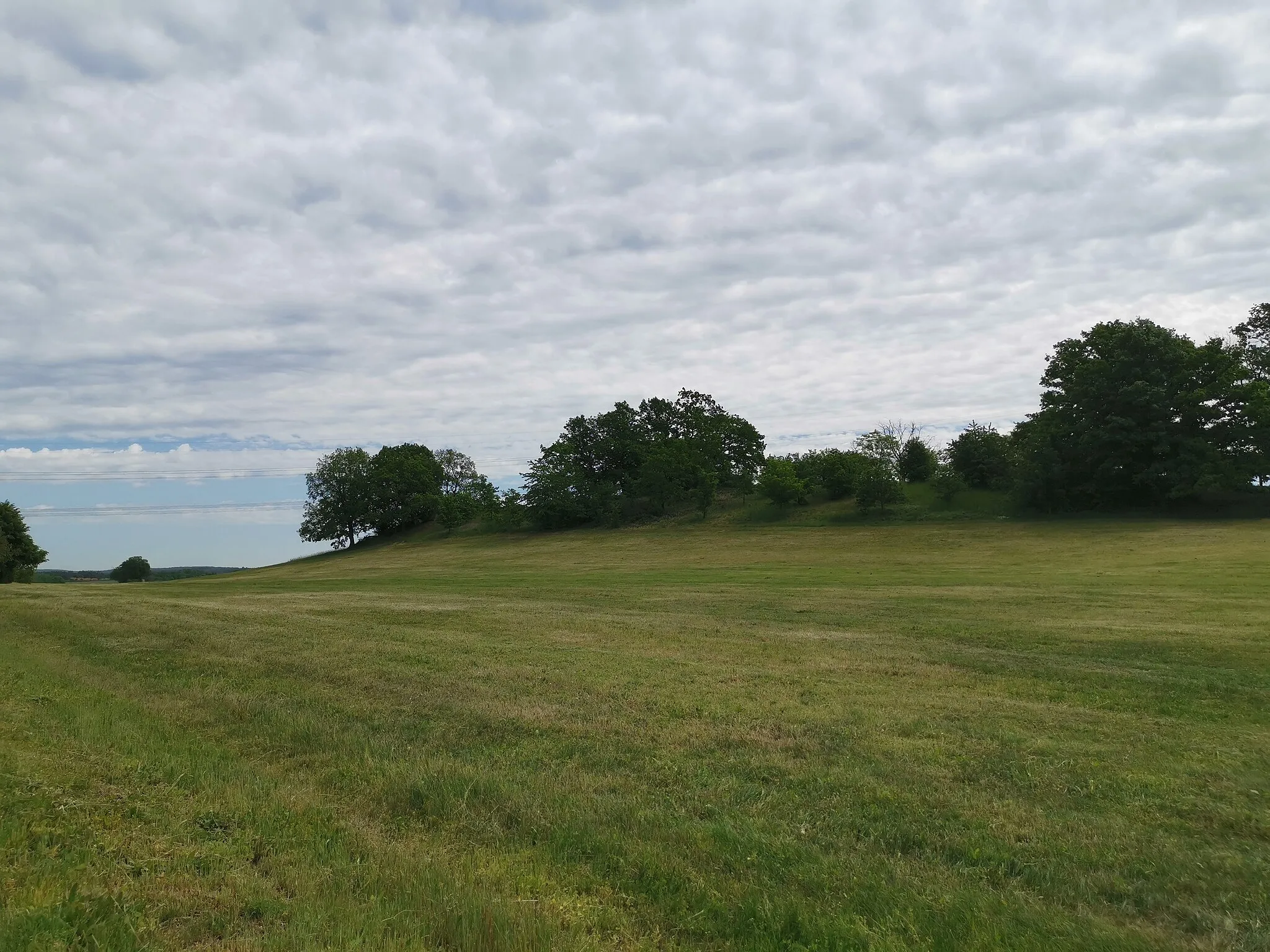 Photo showing: Vogelschutzgebiet Moritzburger Kleinkuppenlandschaft bei Marsdorf