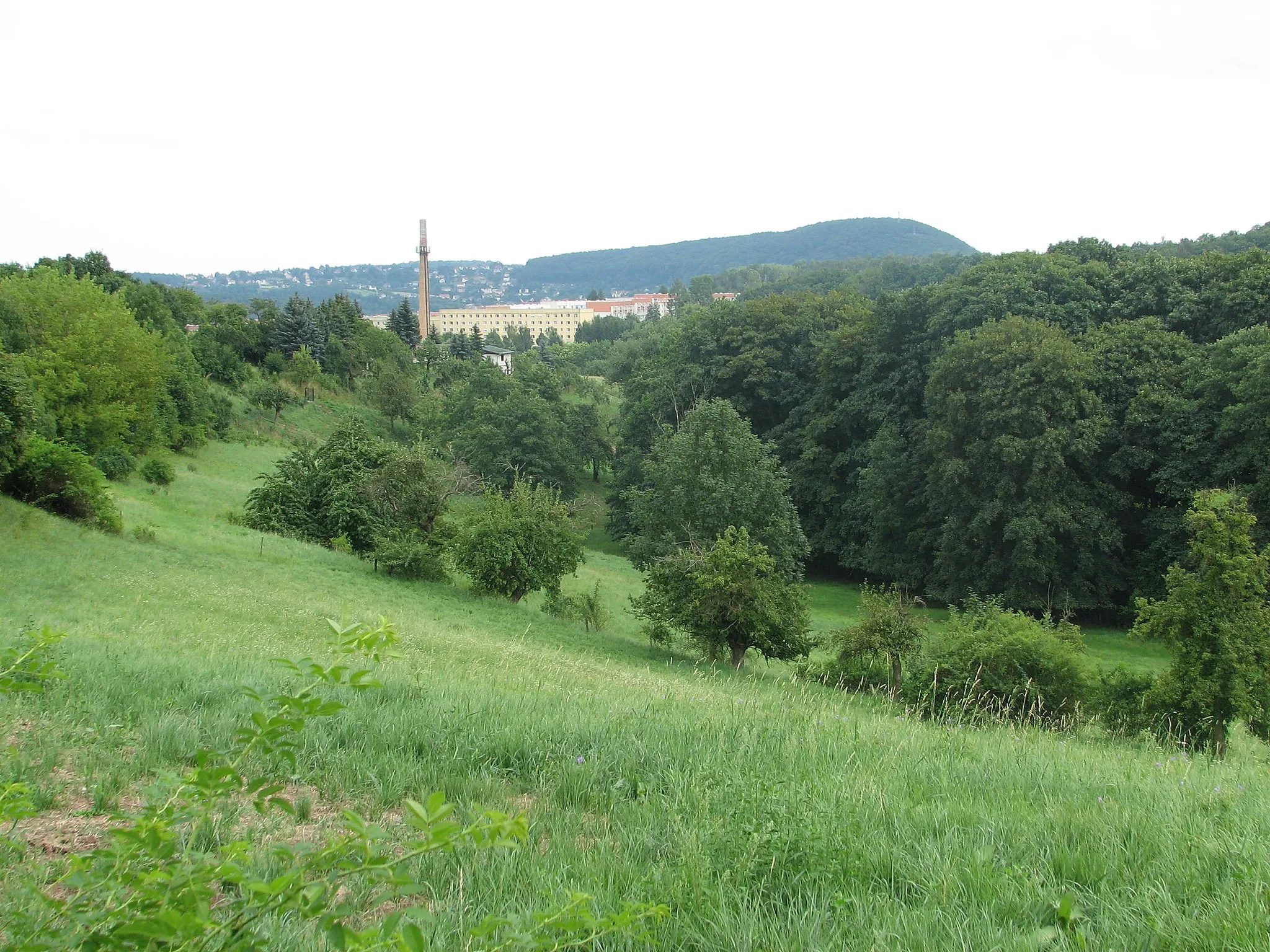 Photo showing: Tal des Quänebaches von Wurgwitz (oberhalb der Schule) Richtung Zauckerode und Windberg.