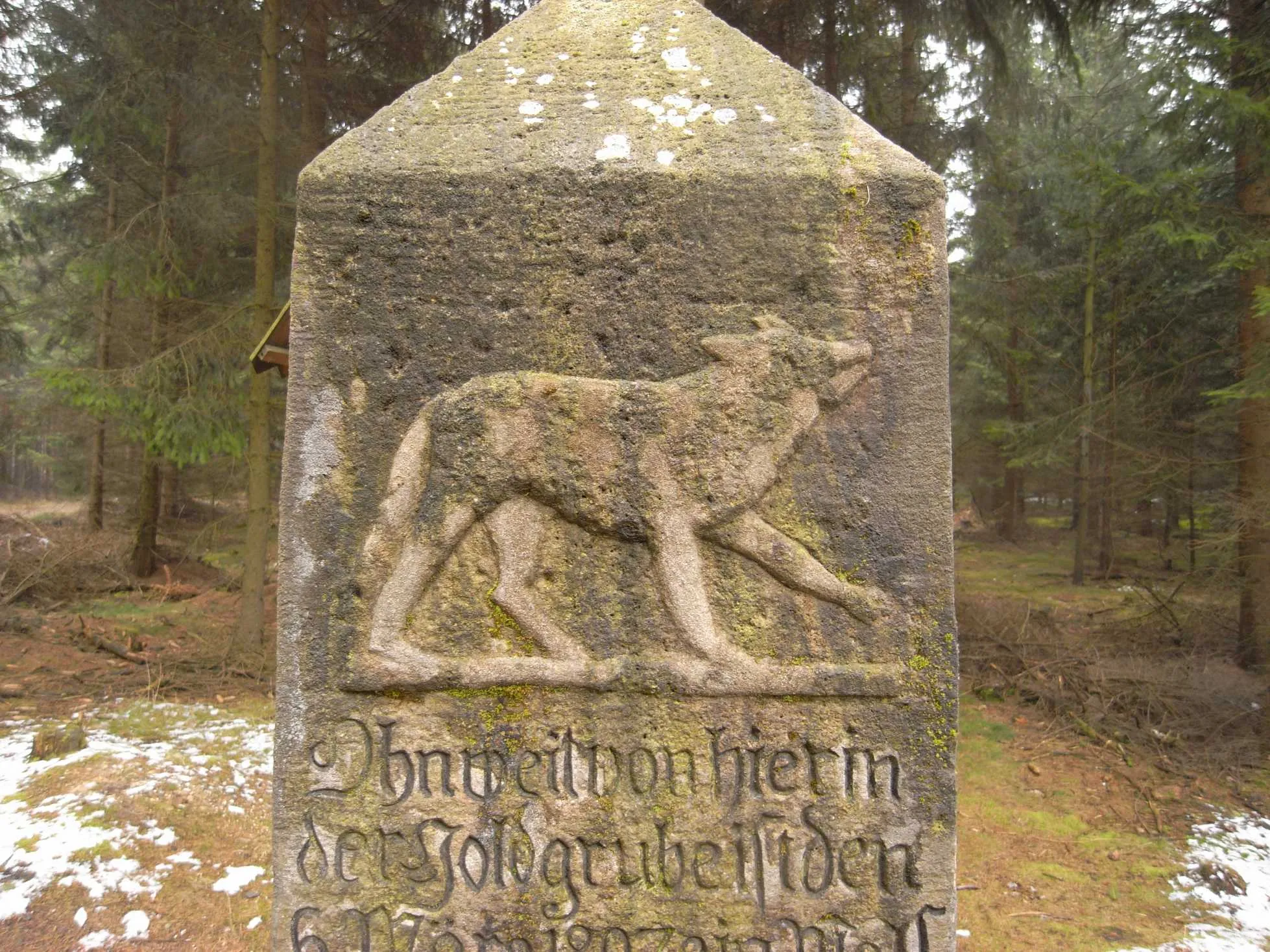 Photo showing: Heath of Dippoldiswalde (Dippoldiswalder Heide),  head of the memorial Wolfssäule (sandstone)