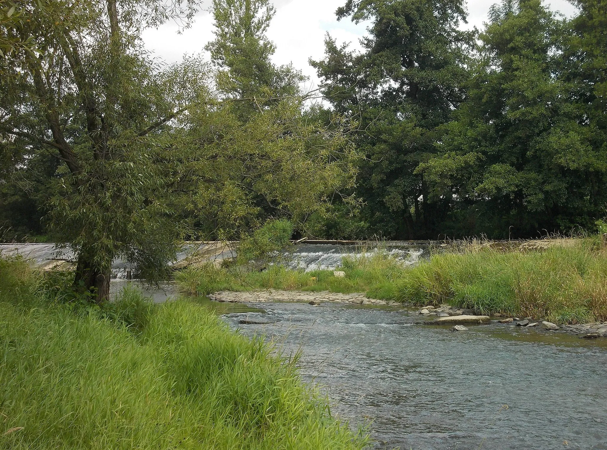 Photo showing: Mandau river near the weir in Pethau (Zittau, Görlitz district, Saxony)