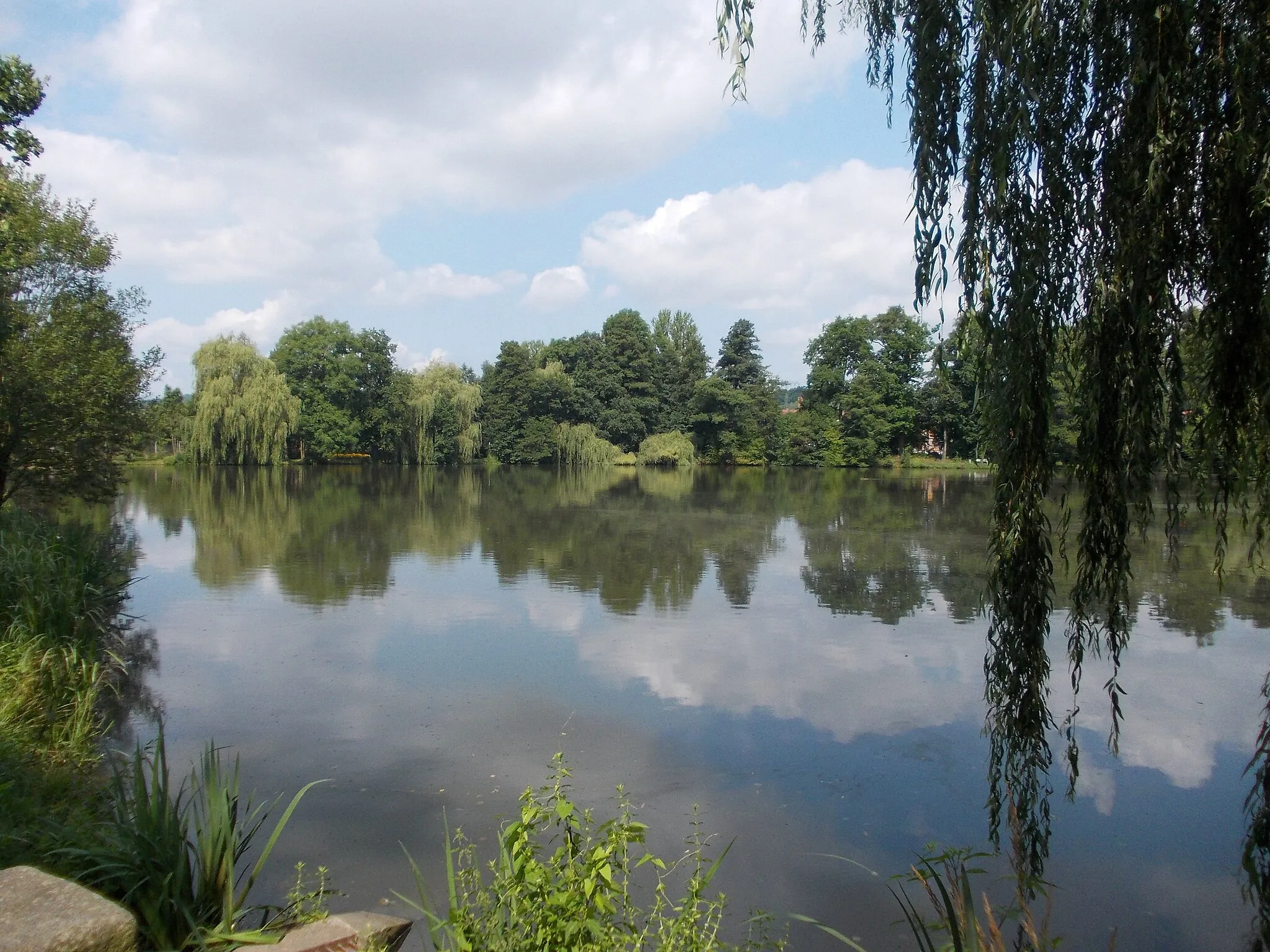 Photo showing: Pethau pond in the West Park of Zittau (Görlitz district, Saxony)