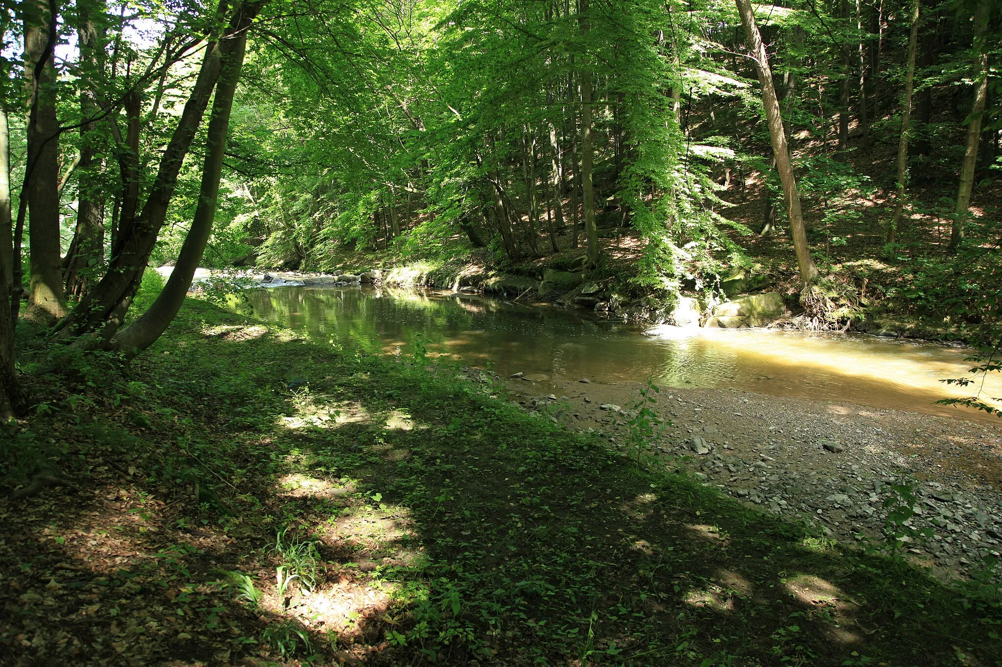 Photo showing: Löbauer Wasser in der Georgewitzer Skala in Löbau