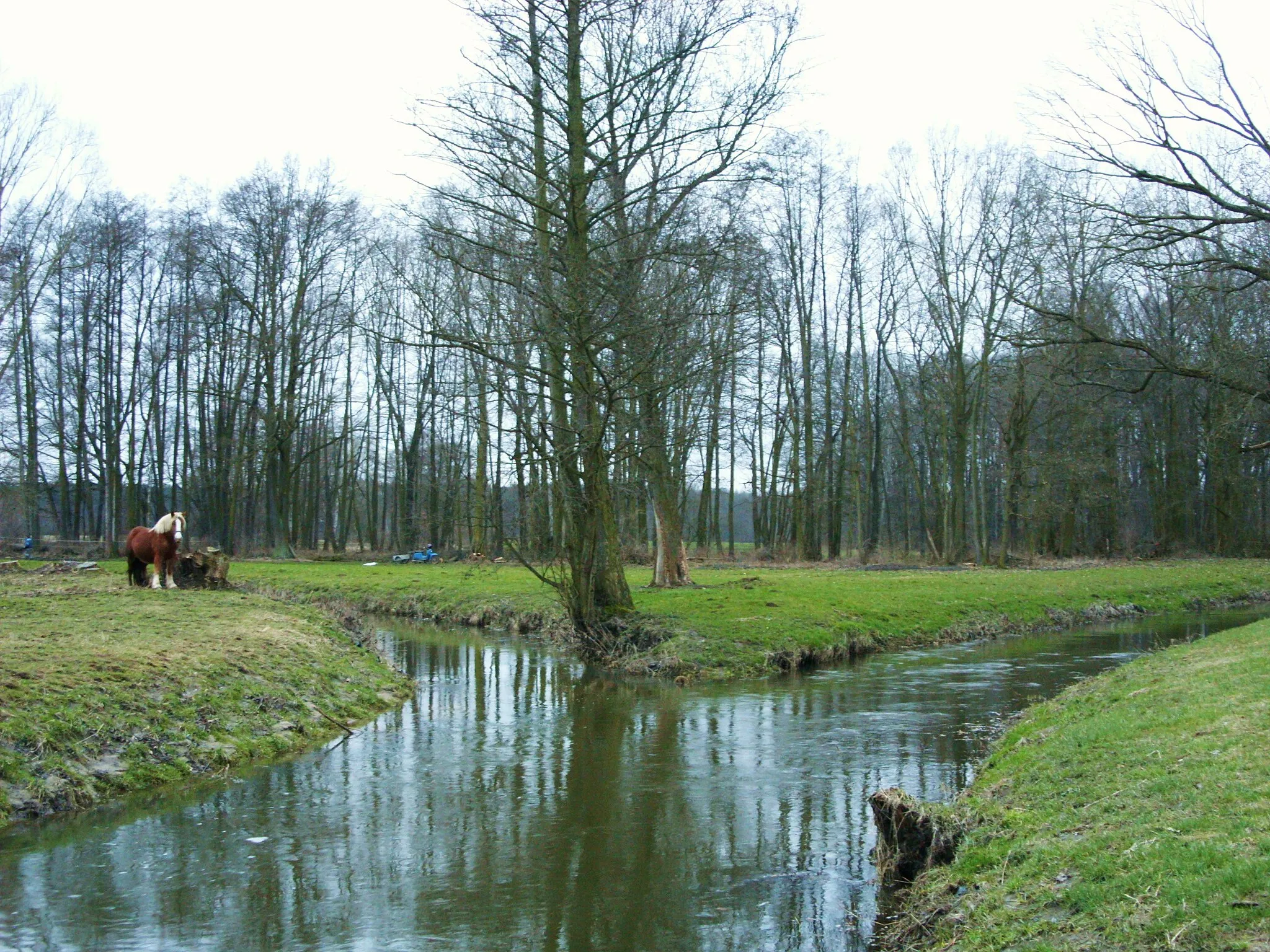 Photo showing: Mündung des Klosterwassers in die Schwarze Elster bei Kotten, Stadt Wittichenau, Landkreis Bautzen.