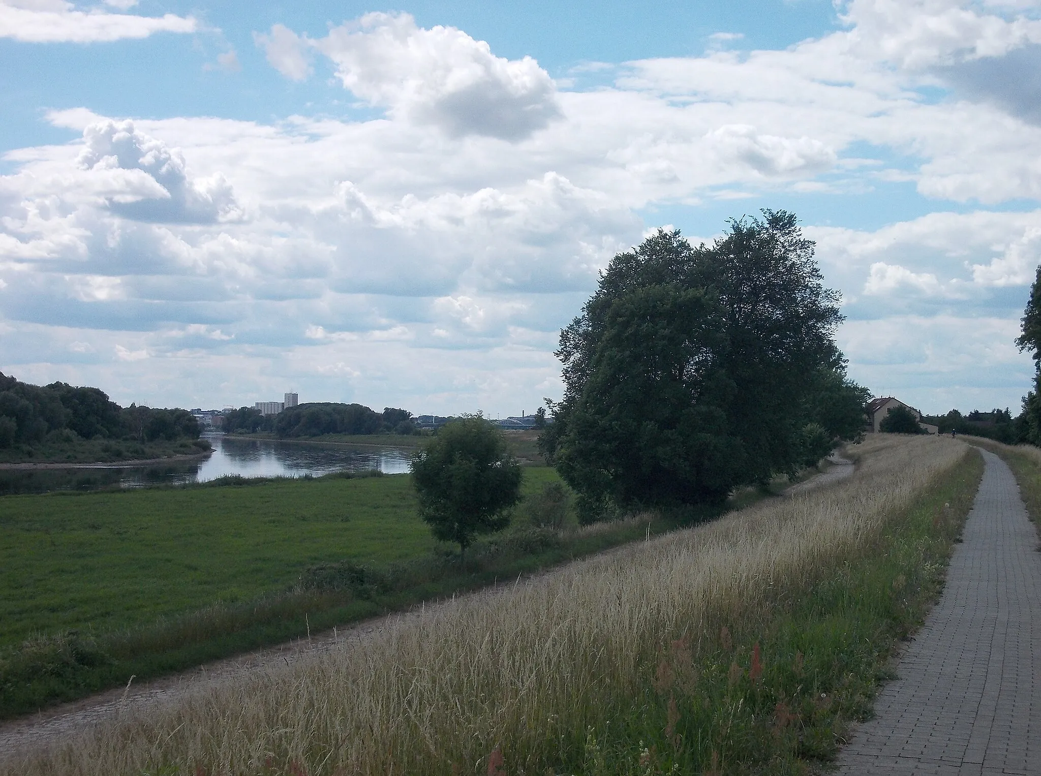 Photo showing: Elbe river near the village of Moritz (Zeithain, Meissen district, Saxony)