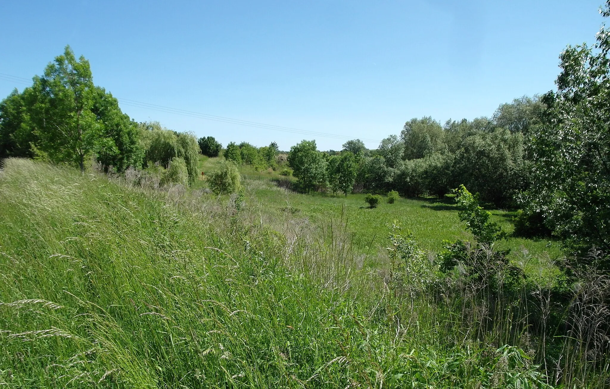 Photo showing: 20.05.2018  01728  Hänichen (Bannewitz): Teich am Oberlauf des Geberbaches (GMP: 50.976474,13.724505) gegenüber Bruno-Philipp-Straße 11. Sicht von Südosten.                                                                                                [SAM6262.JPG]20180520105DR.JPG(c)Blobelt