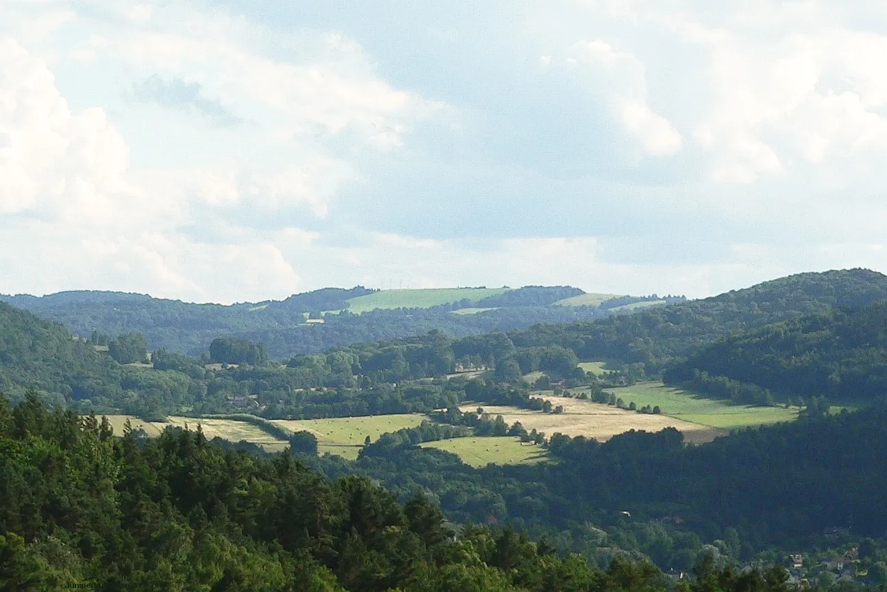 Photo showing: Letní pohled na Javorský vrch od Jalůvčí