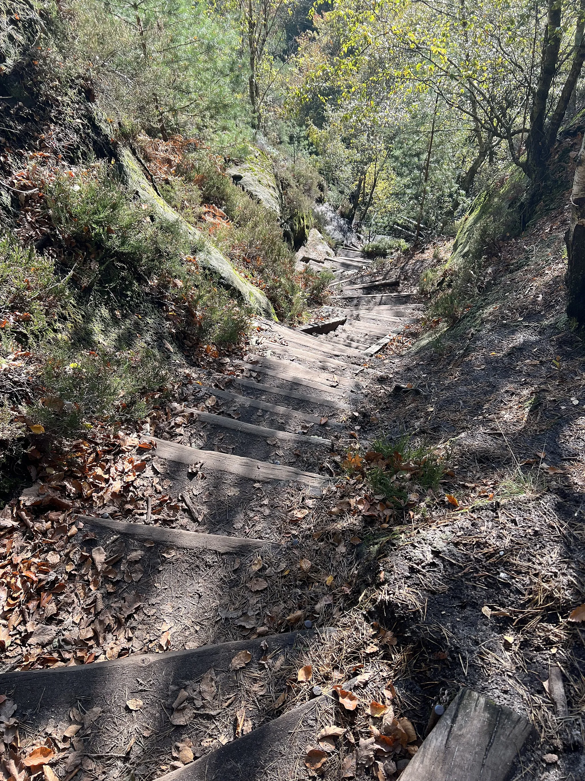 Photo showing: Mittelwinkel im Nationalpark Sächsische Schweiz, Sachsen, Deutschland. Der Mittelwinkel ist eine Stiege auf den Schrammsteinen, einer Sandsteinfelsengruppe. Der Aufstieg führt vom Zeughausweg über viele Holzstufe und Metalleitern zum Gratweg.