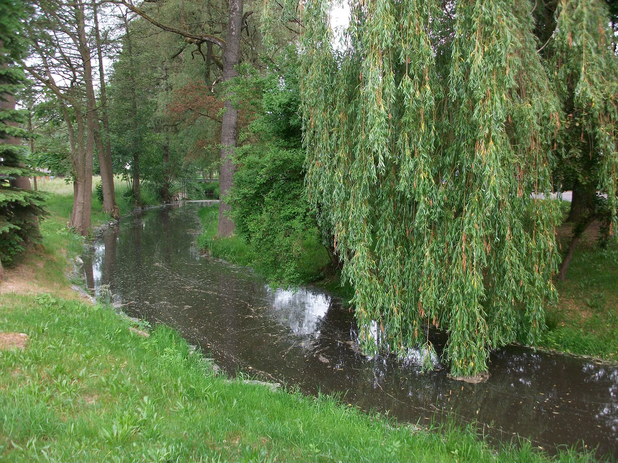 Photo showing: Der Perzebach in Seifersdorf