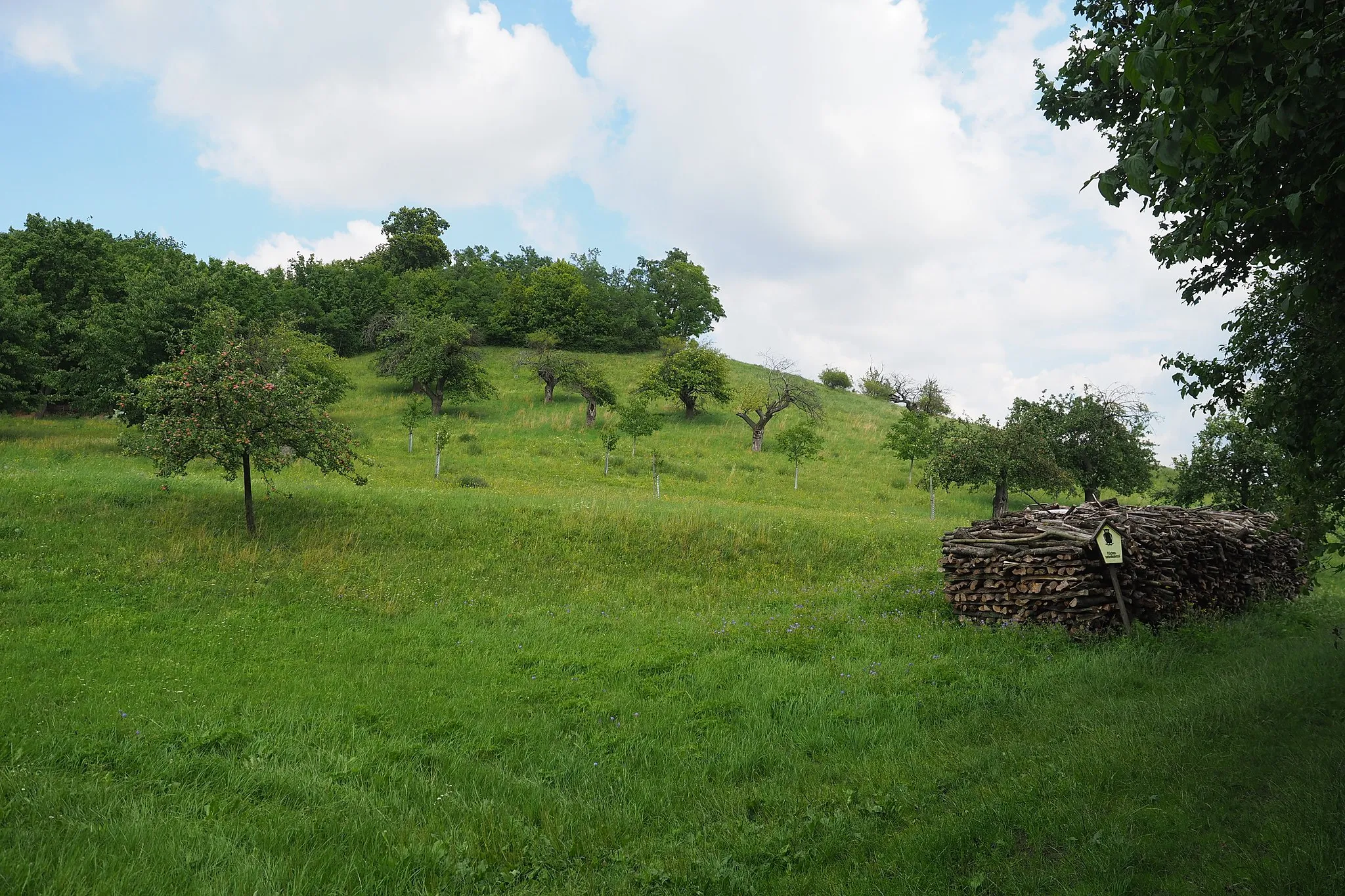 Photo showing: Roitzschberg bei Gröbern