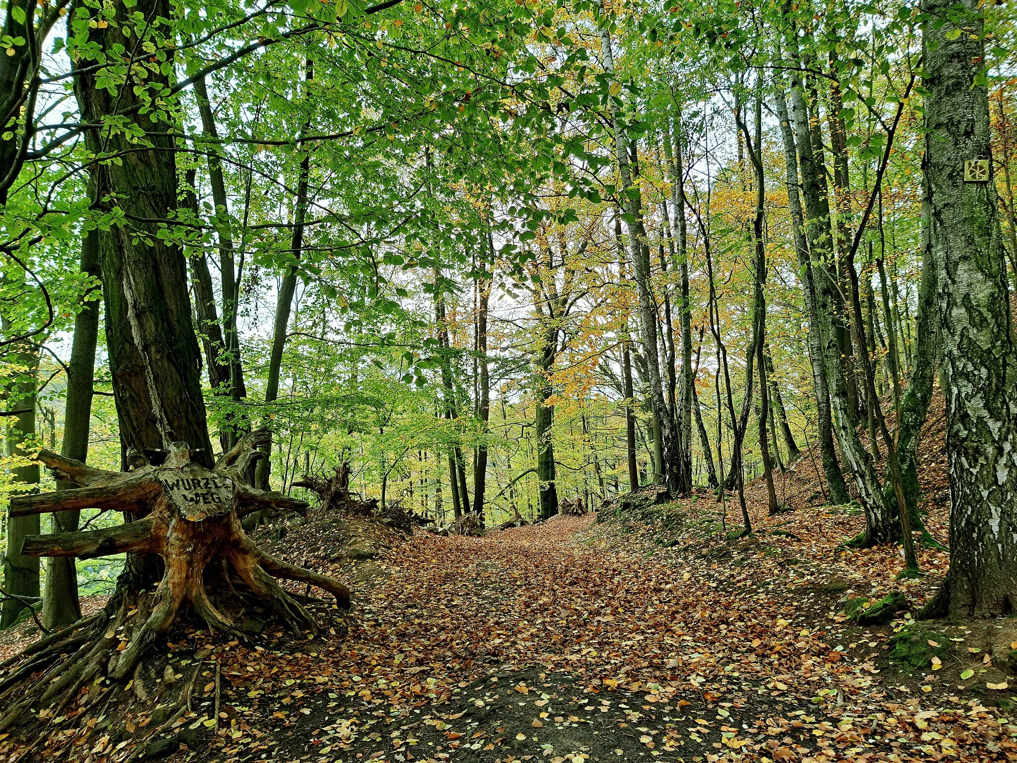 Photo showing: Steinbruchpfad Wehlen - Zeichen: ‎Wanderweg in der Sächsischen Schweiz - ursprünglich bildete sich dieser Haldenweg als Verbindungsweg der vielen, zwischen Stadt Wehlen / Dorf Wehlen und Zeichen, gelegenen Steinbrüche heraus. Gleichzeitig diente er bei Hochwasser als Notweg für die Elbanwohner. Nunmehr ist es ein beliebter Wanderpfad, welcher die Geschichte der Steinbrecher verdeutlicht.