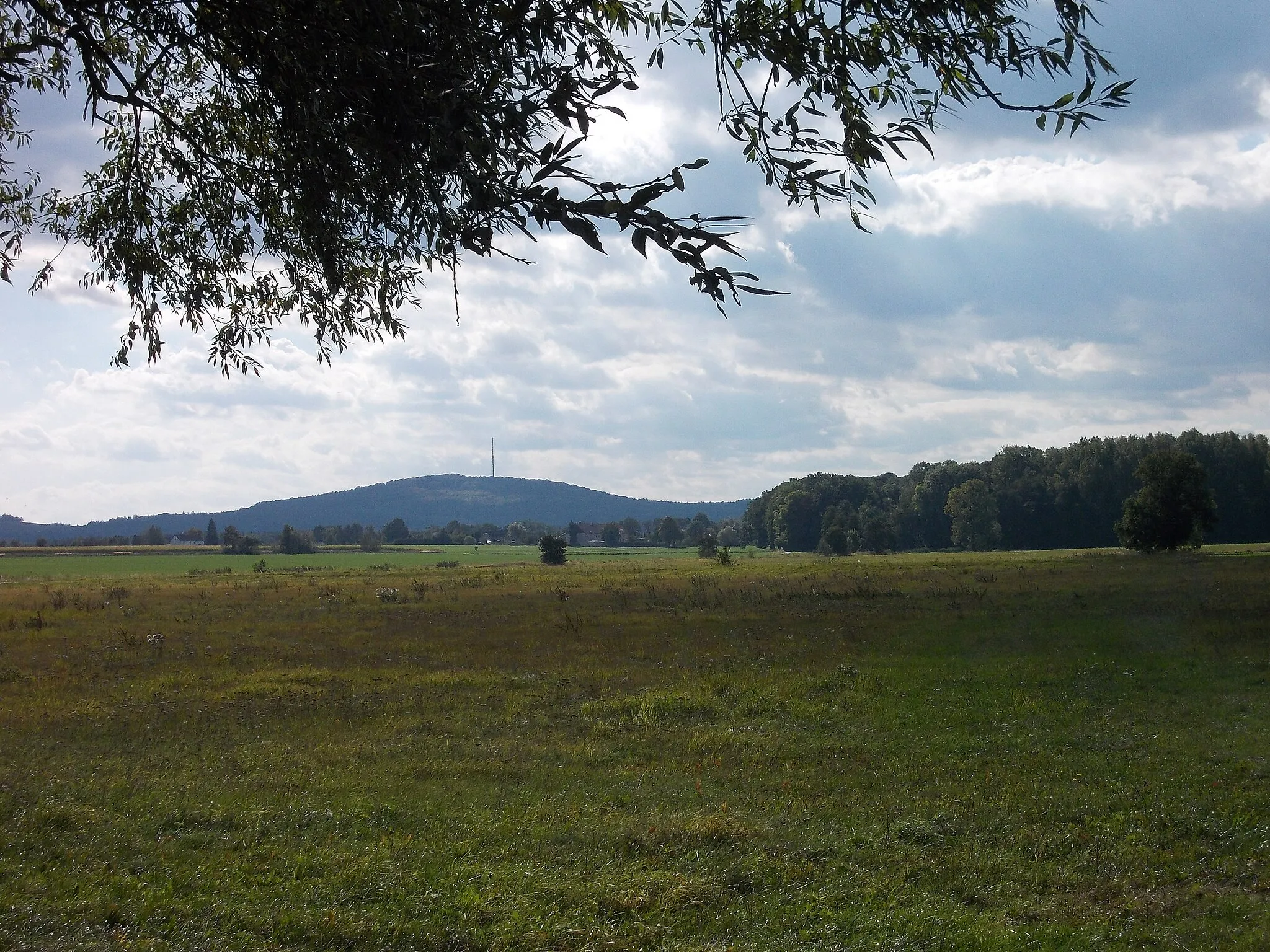 Photo showing: Collm hill form the north-east (view from the Langes Holz nature reserve near Kleinböhla, Dahlen, Nordsachsen district, Saxony)