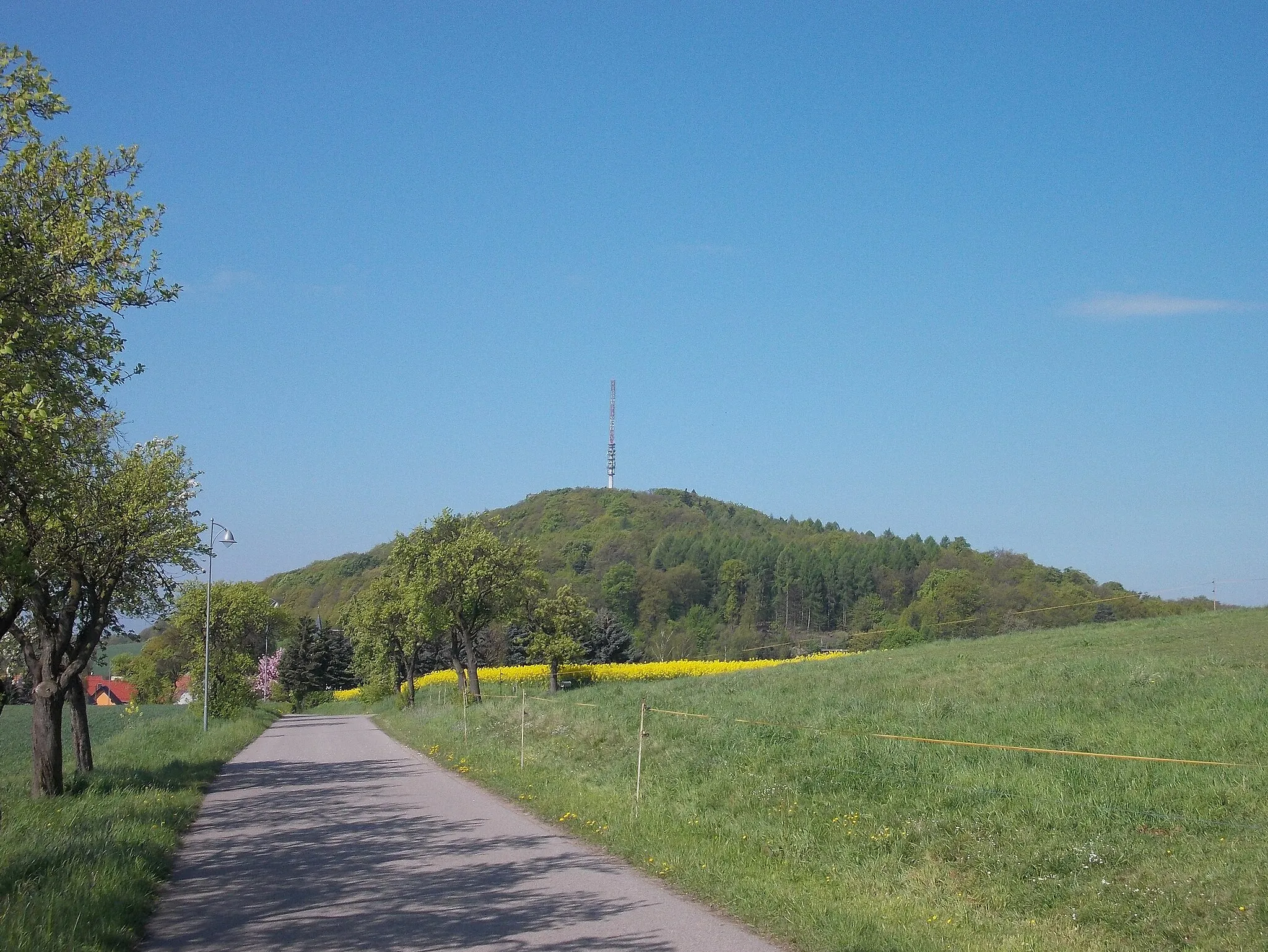 Photo showing: Collmberg hill from the east (Wermsdorf, Nordsachsen district, Saxony)