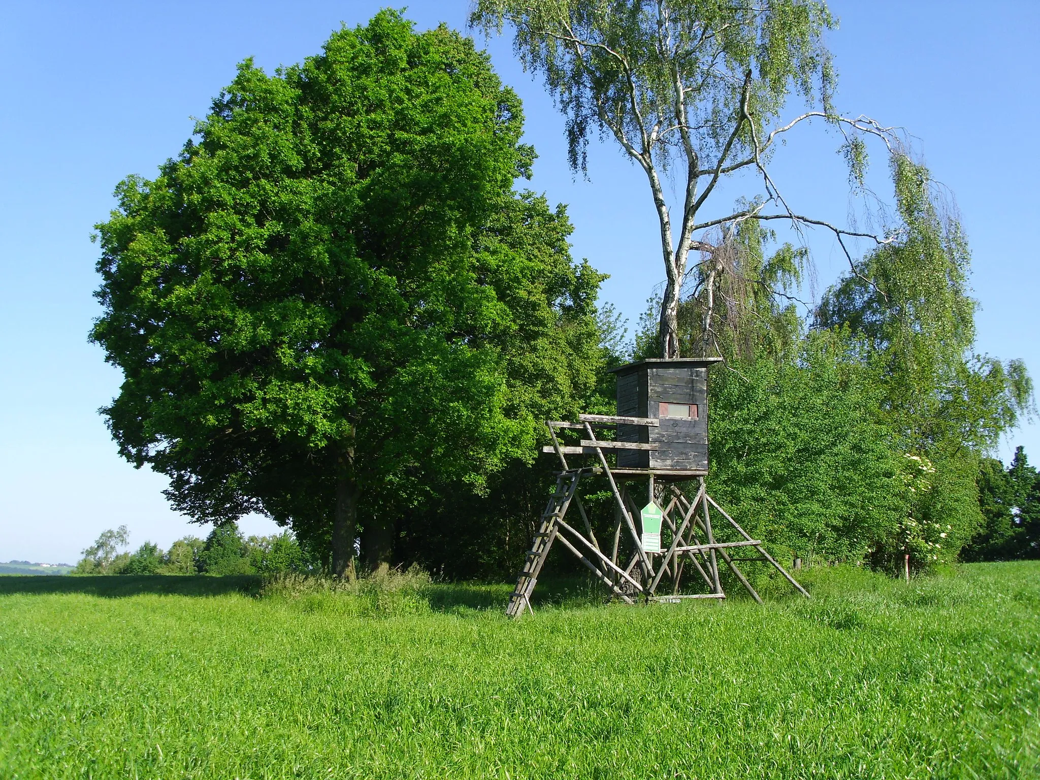 Photo showing: Der Wachtelberg ist ein Naturdenkmal.