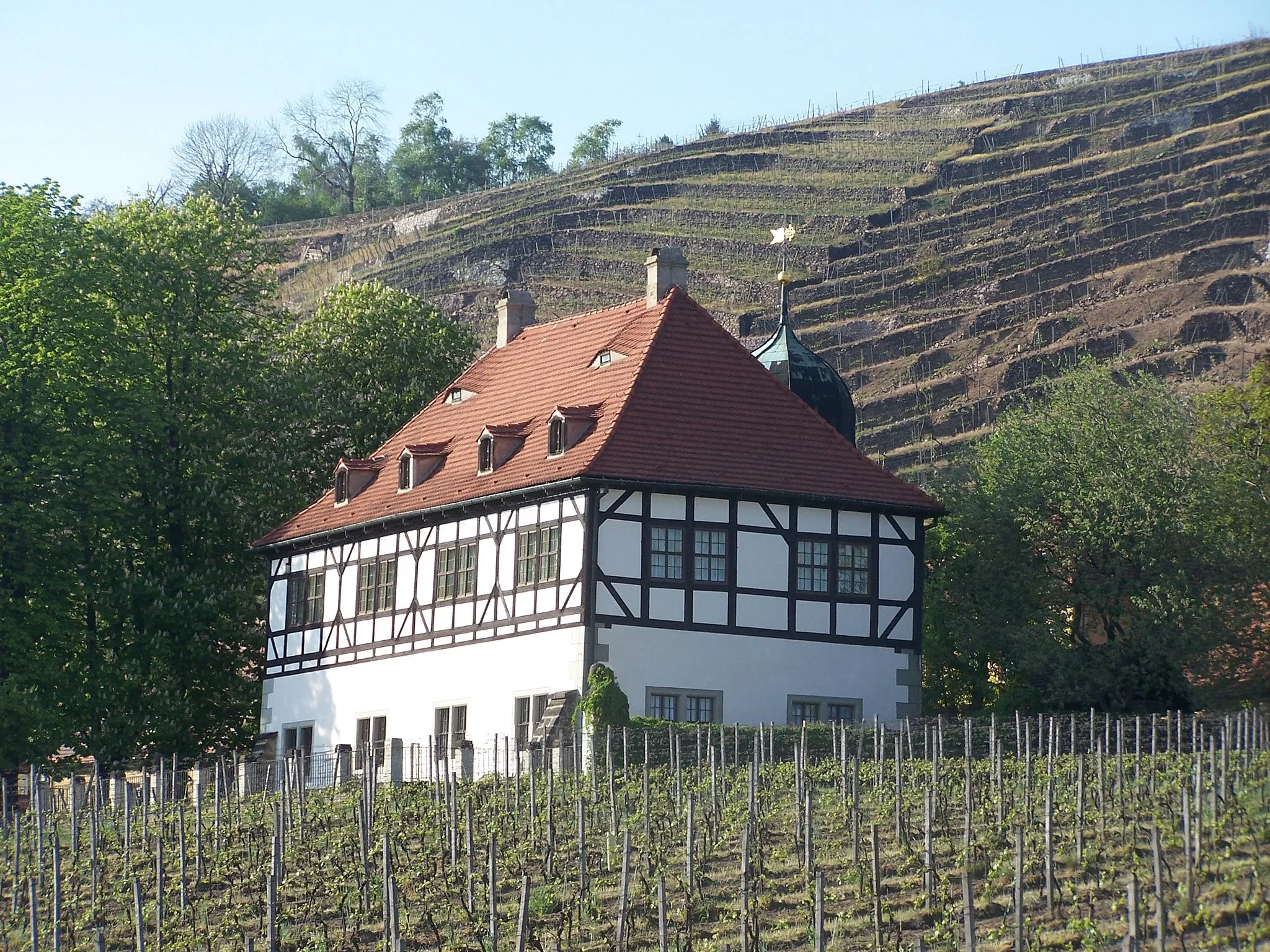 Photo showing: Weingut Hoflößnitz in Radebeul / vineyard Hoflößnitz in Radebeul, Germany