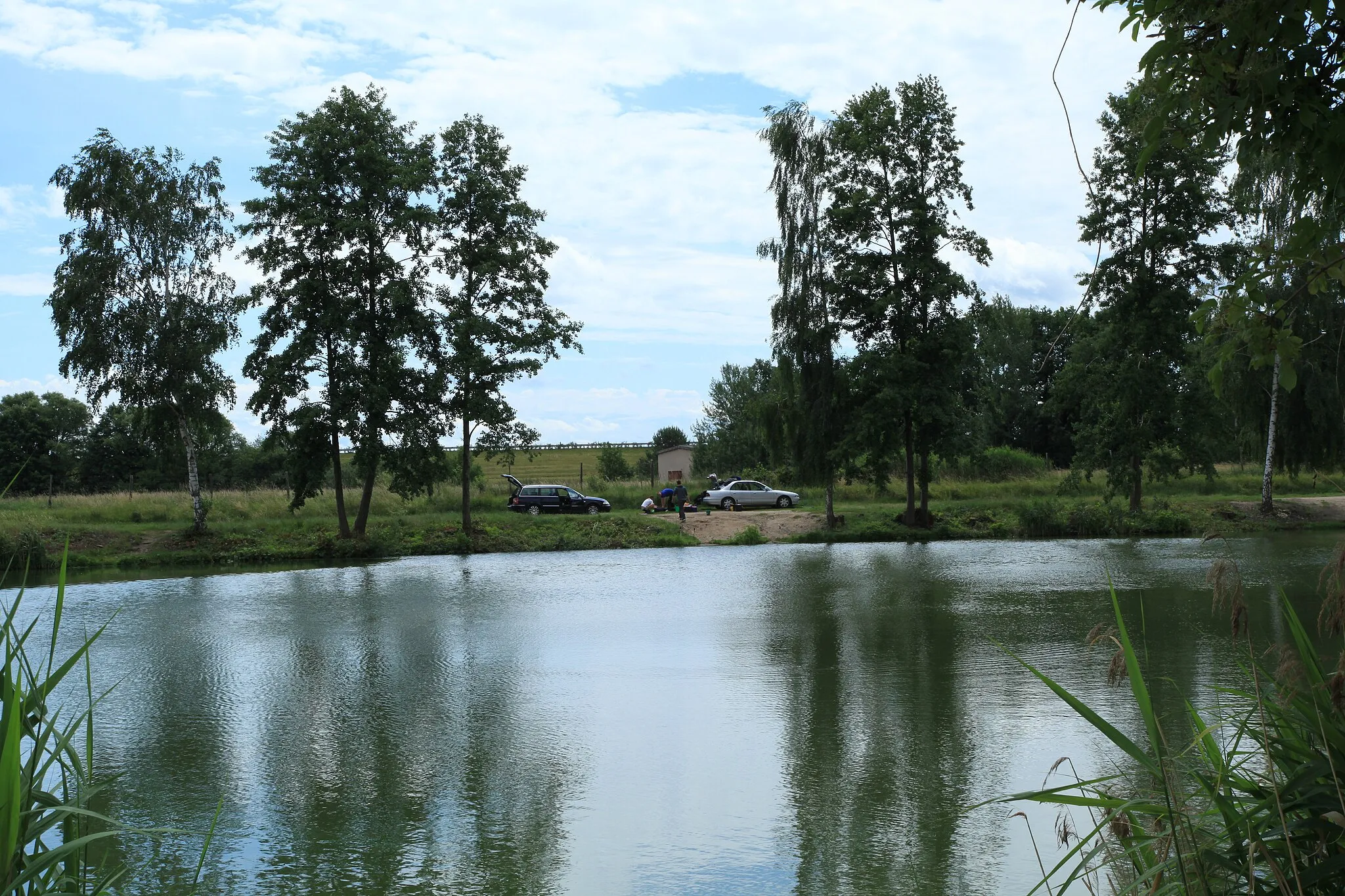 Photo showing: Fischteiche an der Seer Straße in Sproitz, Quitzdorf am See