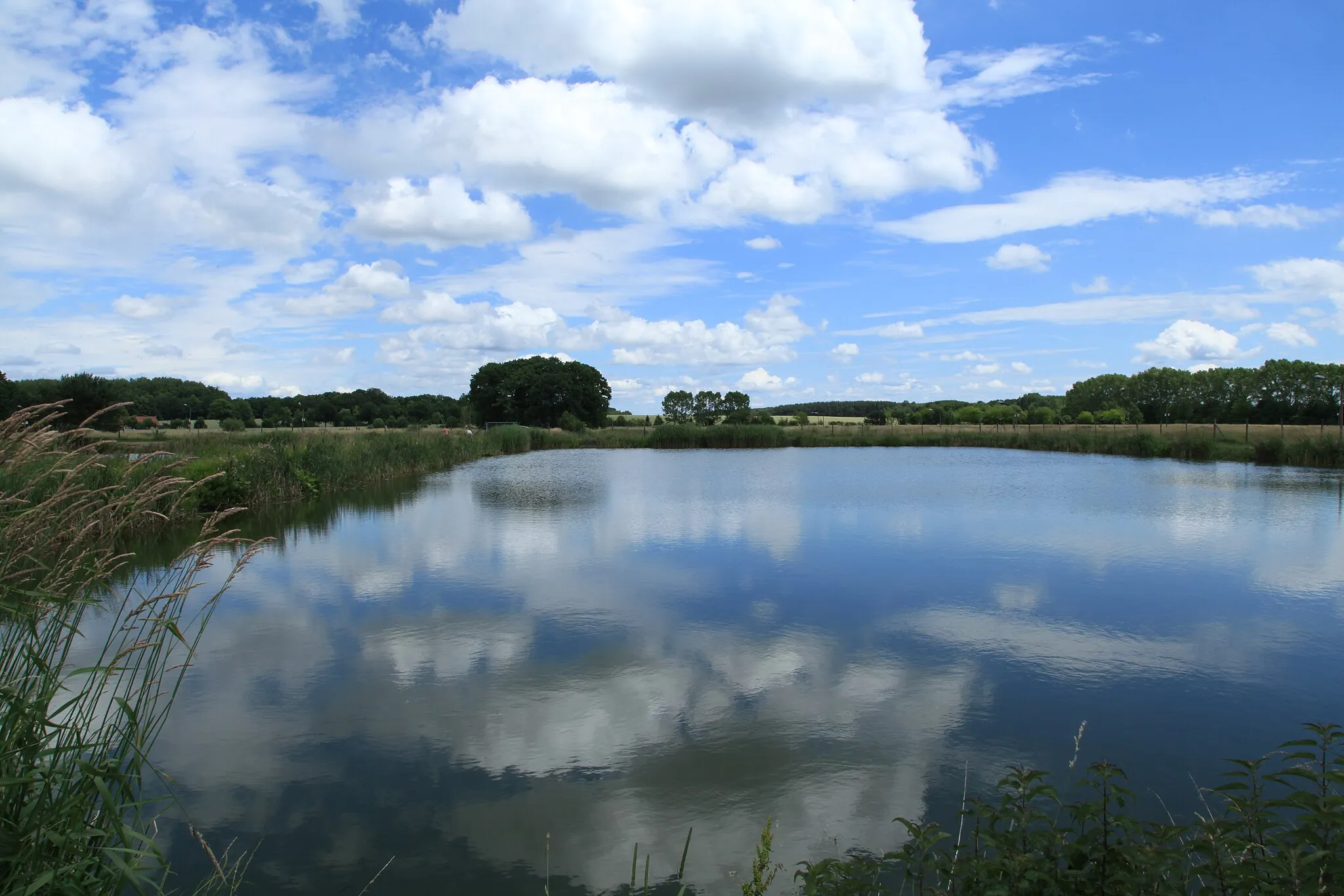 Photo showing: Fischteiche an der Seer Straße in Sproitz, Quitzdorf am See