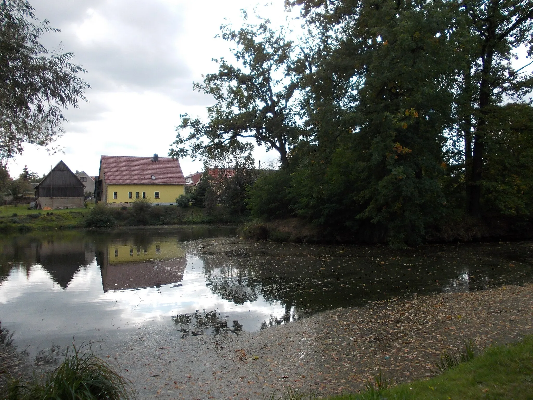 Photo showing: A pond in Grossböhla (Dahlen, Nordsachsen district, Saxony)