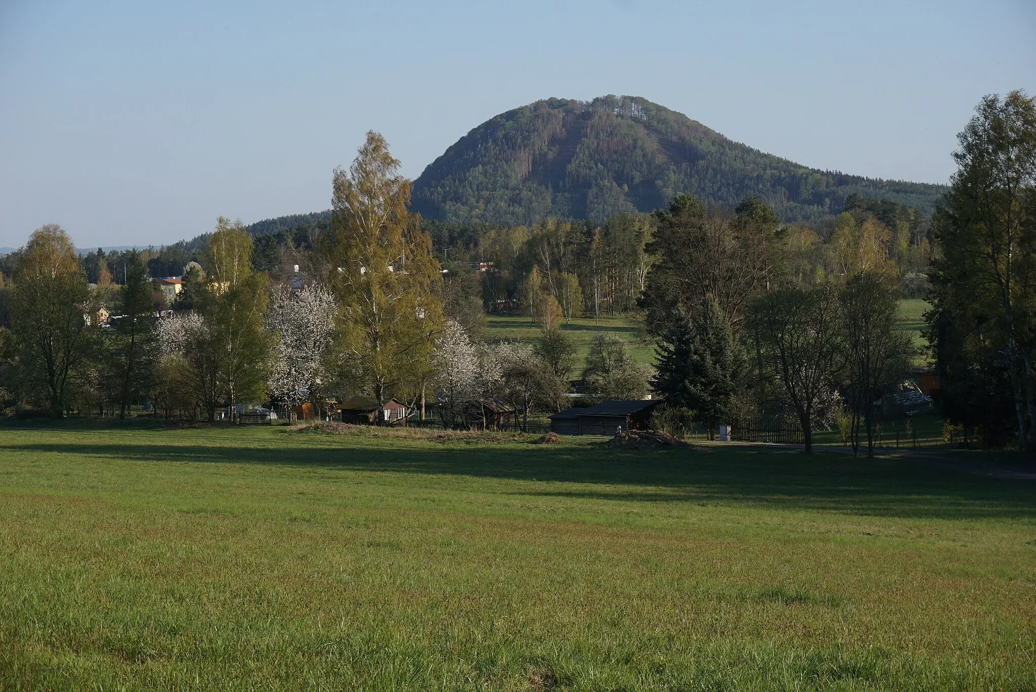 Photo showing: Ortel (Ortelsberg, 554 m) - pohled z luk JZ od Cvikova I