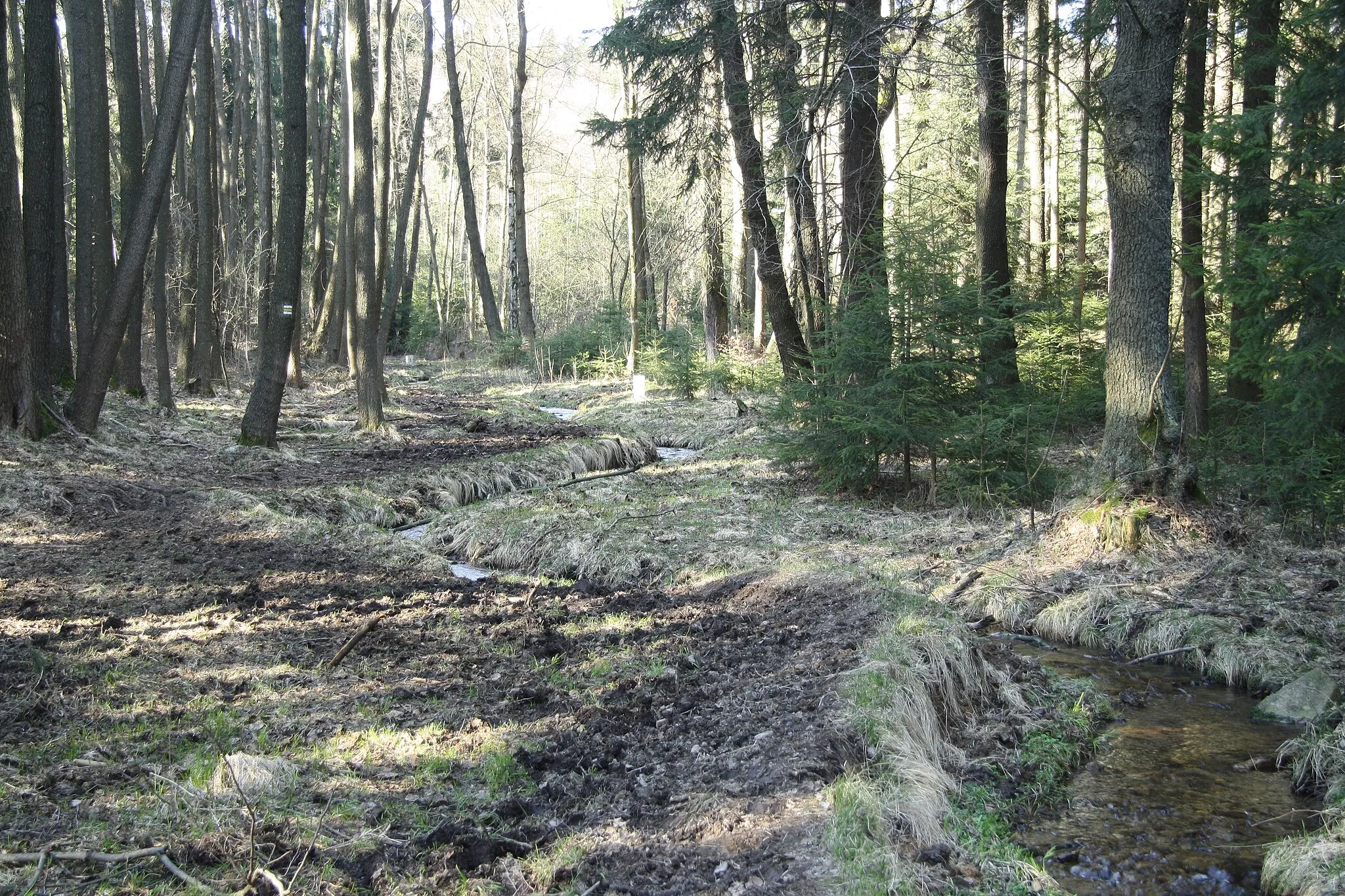 Photo showing: Severní potok near Germany Czech border near Severní, Lobendava, Děčin District.