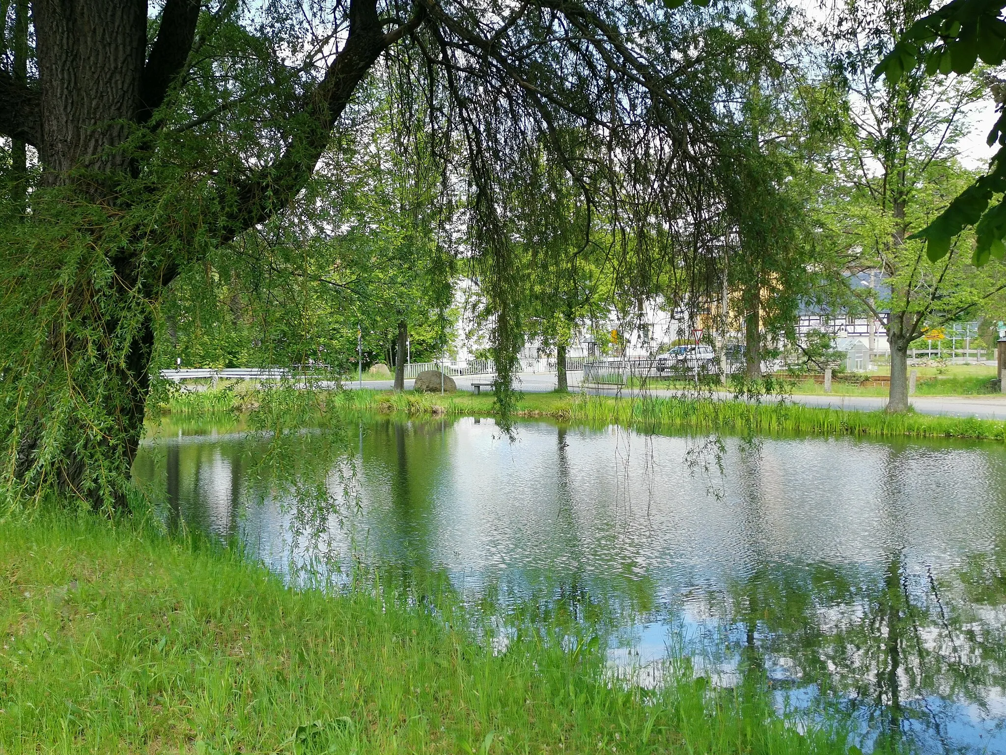 Photo showing: Dorfteich in Oberlichtenau