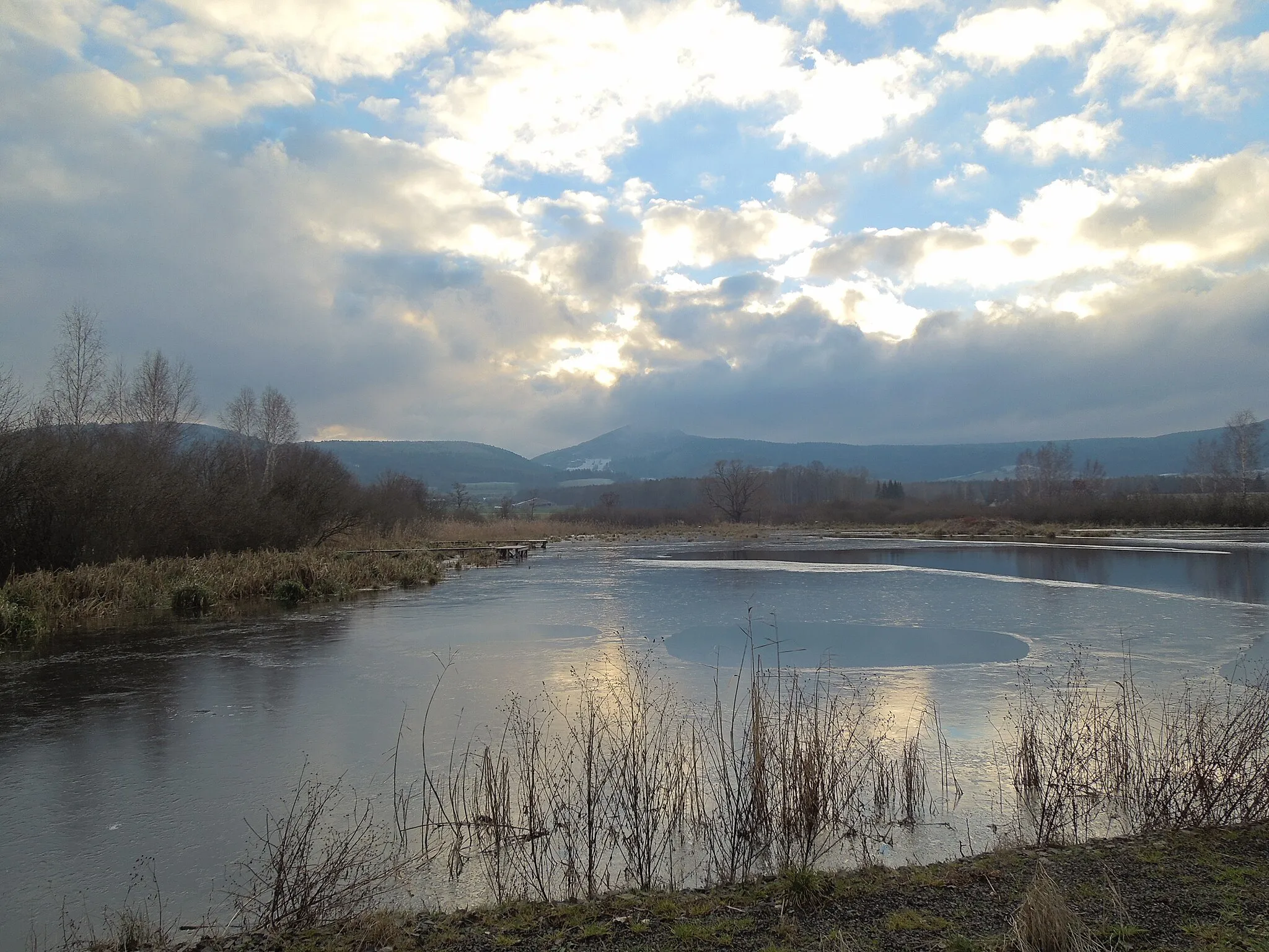 Photo showing: Flächennaturdenkmal "Goldfabianteich" bei Großschönau