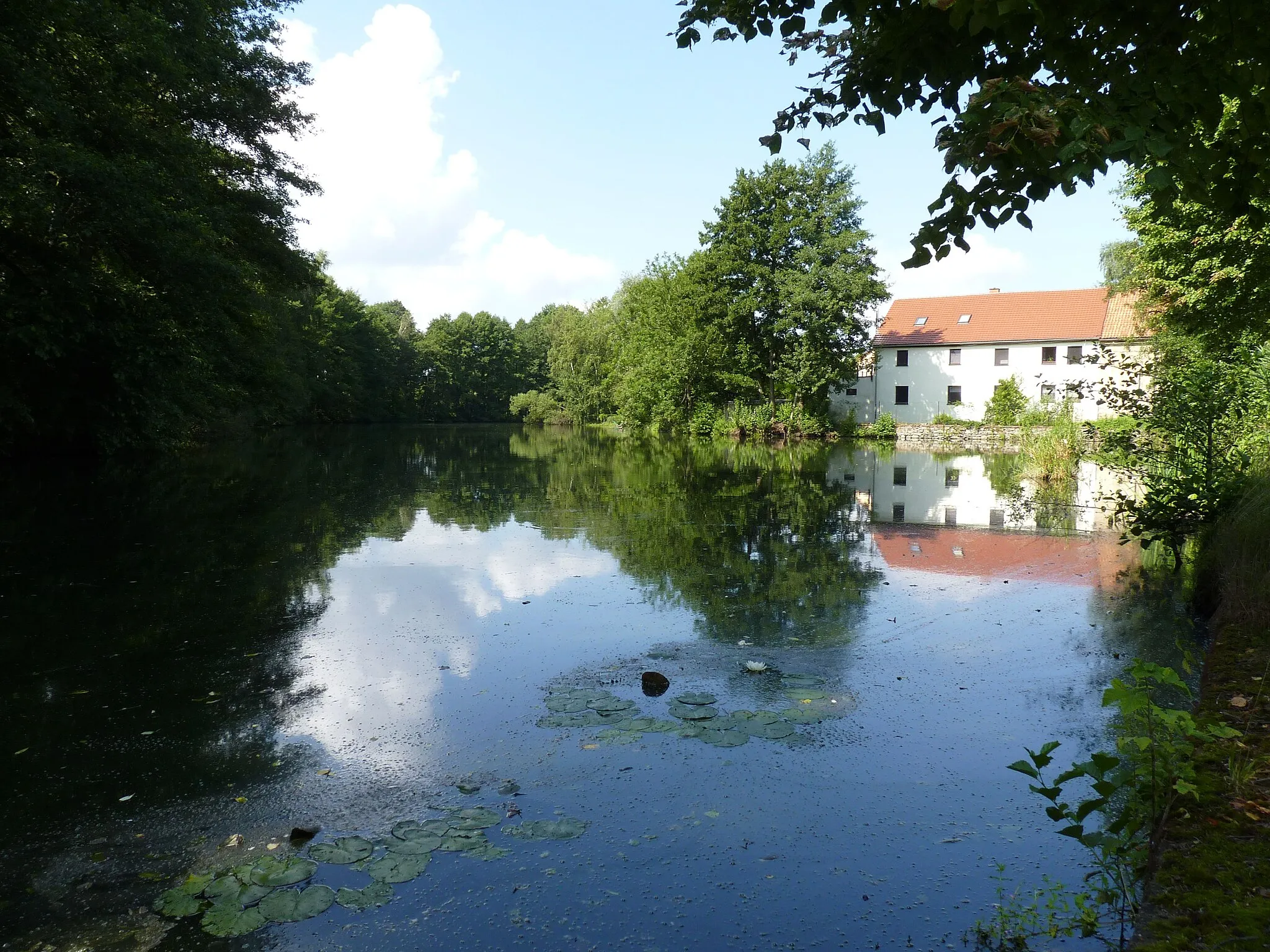 Photo showing: Der Hofeteich in Niederoderwitz.